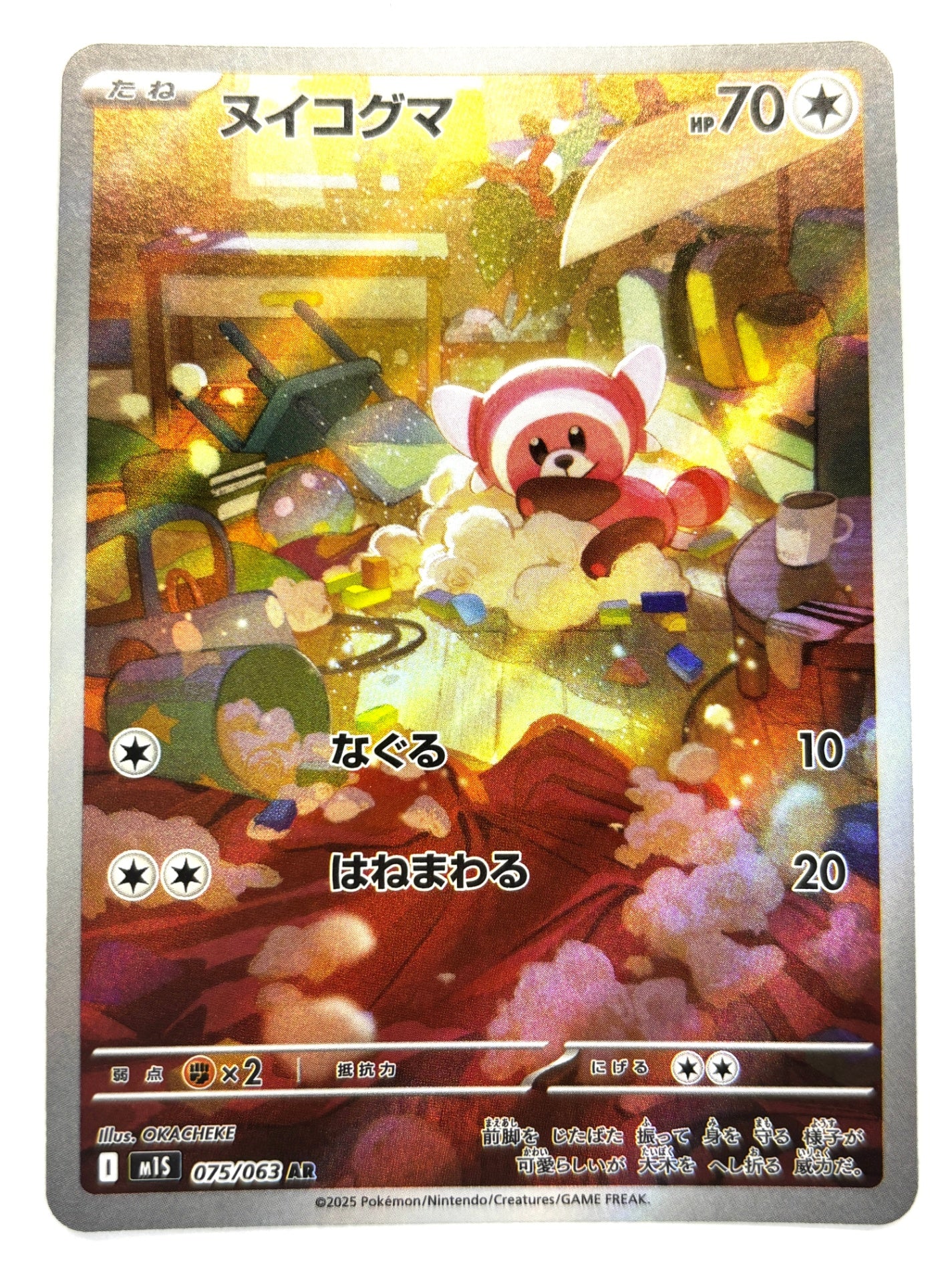 075/063 ヌイコグマ