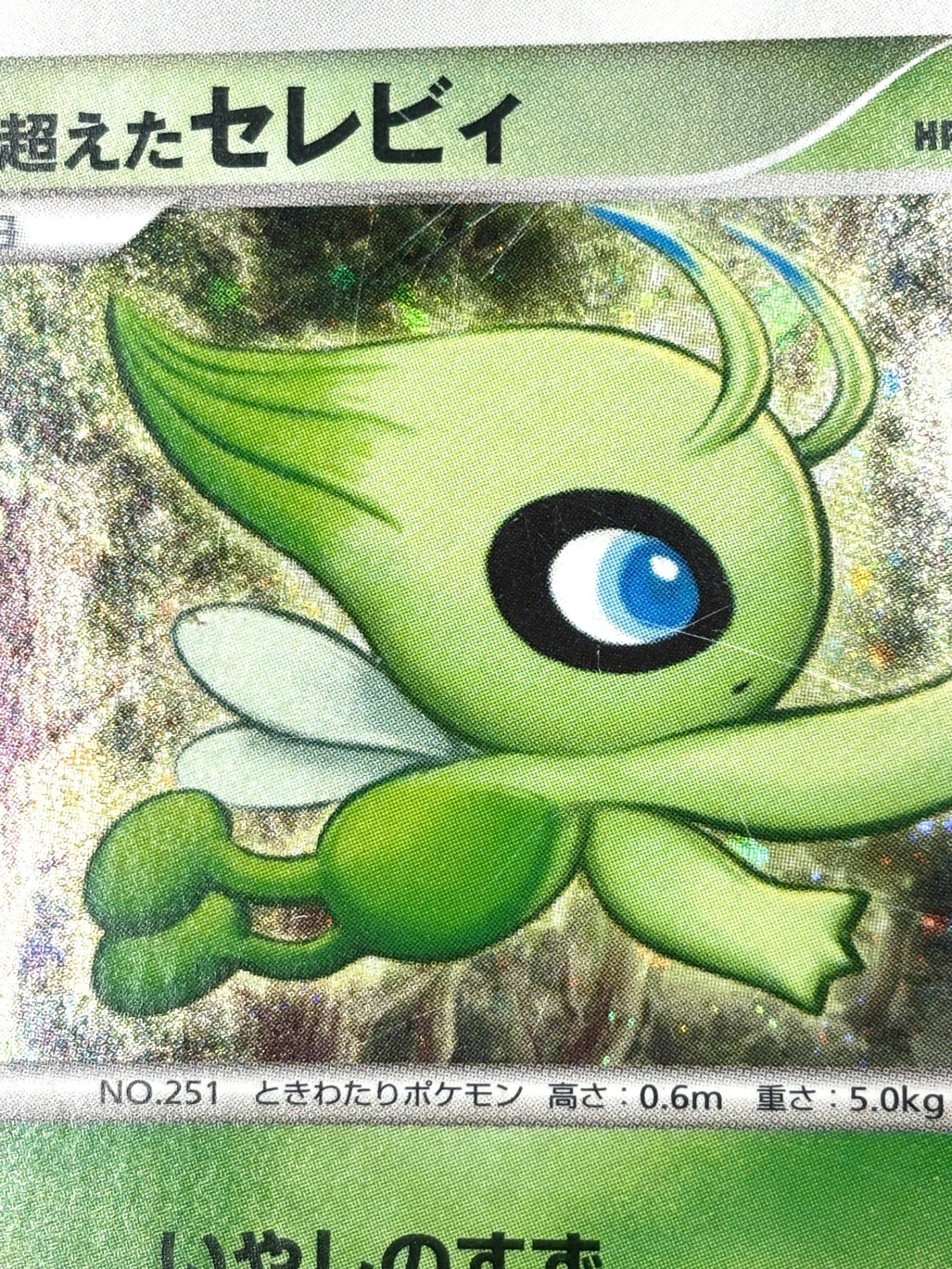 10th/004 時を超えたセレビィ