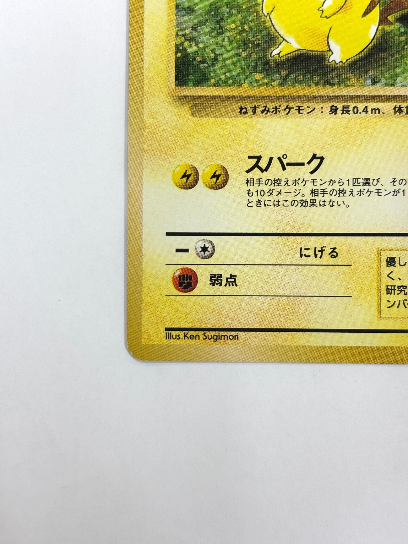 LV14HP50NO025-ORG2 ピカチュウ(右中央:ラフレシア)