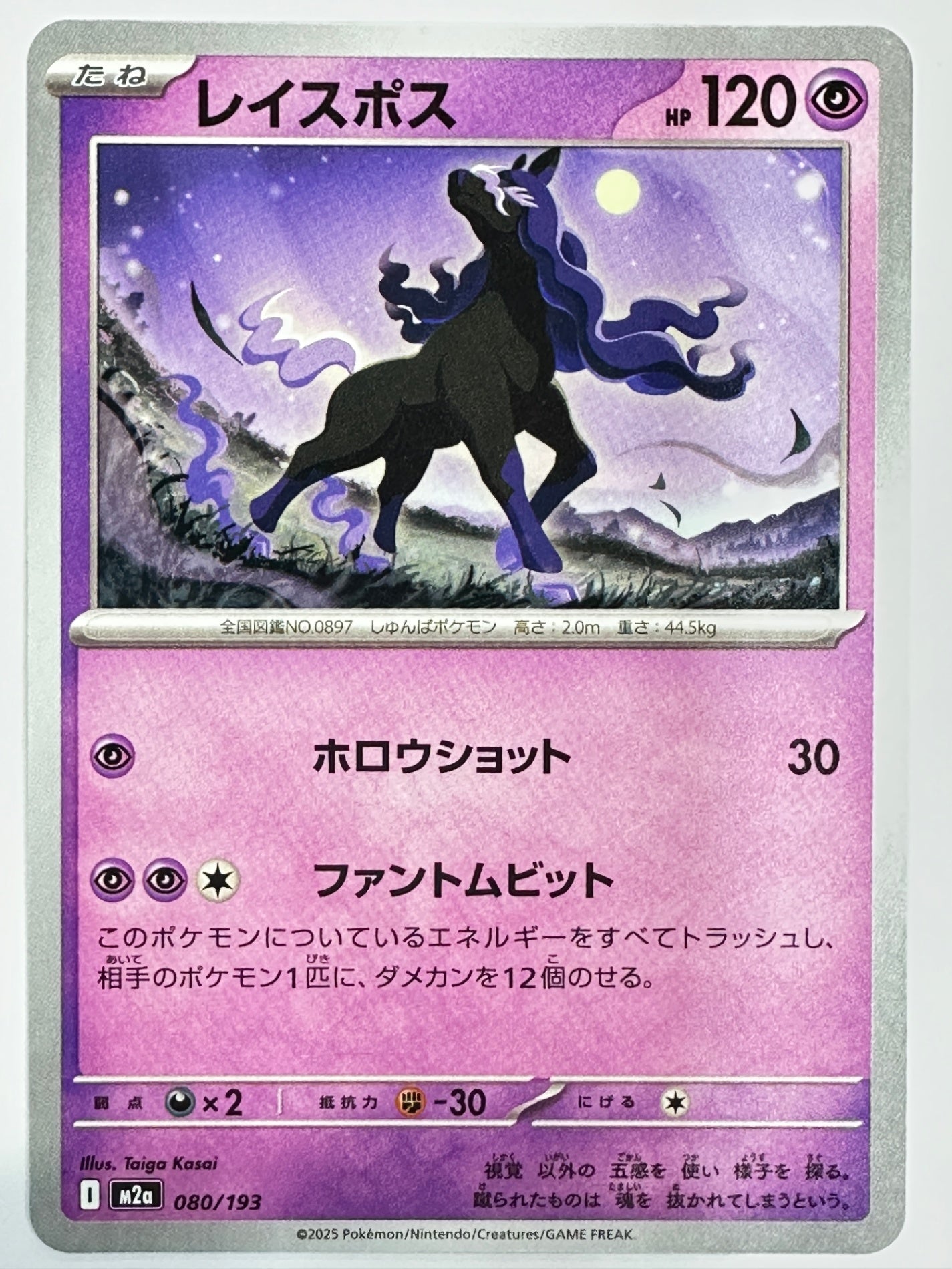 080/193 レイスポス