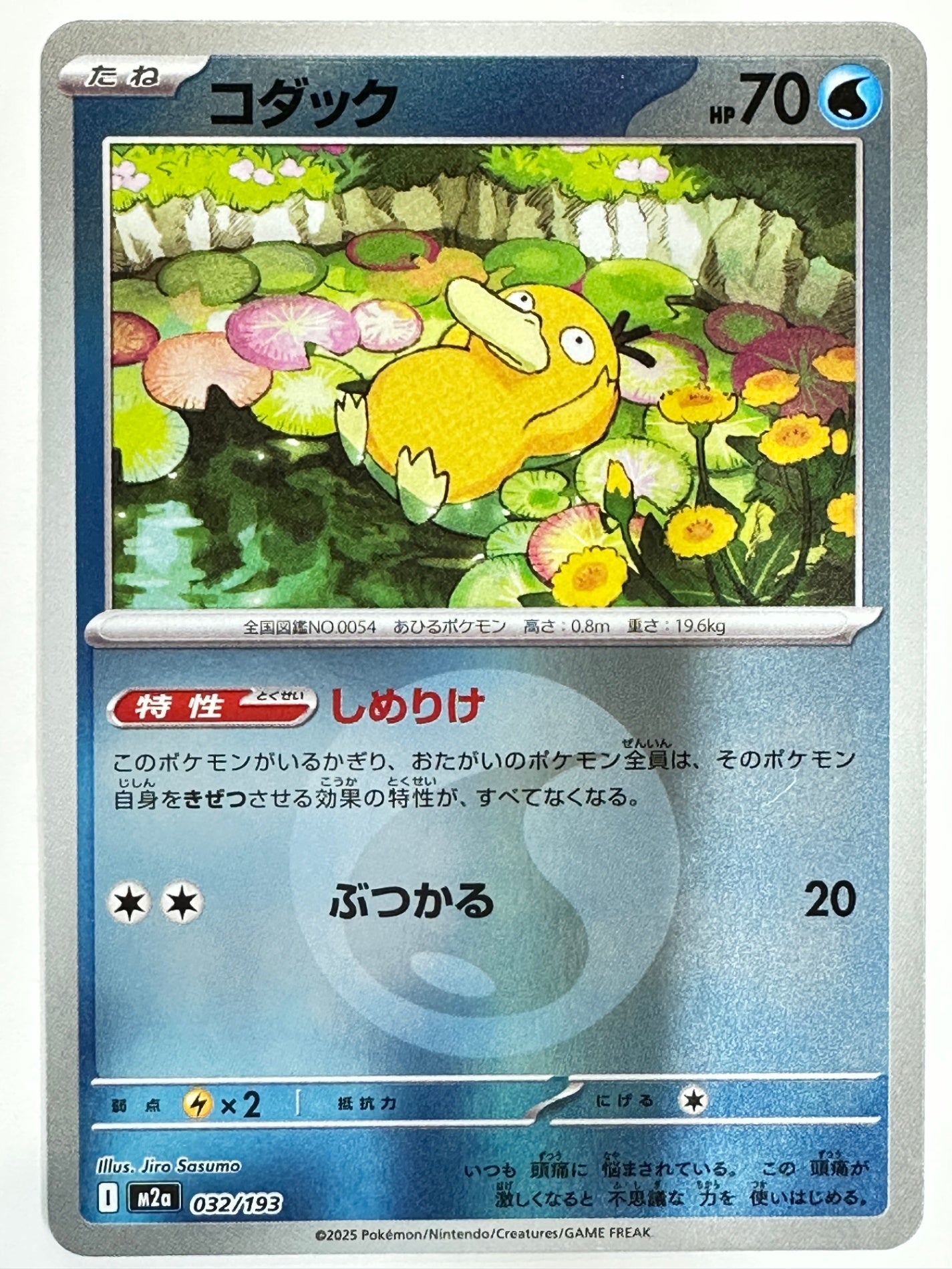 032/193 ミラー)コダック(エネルギー柄)