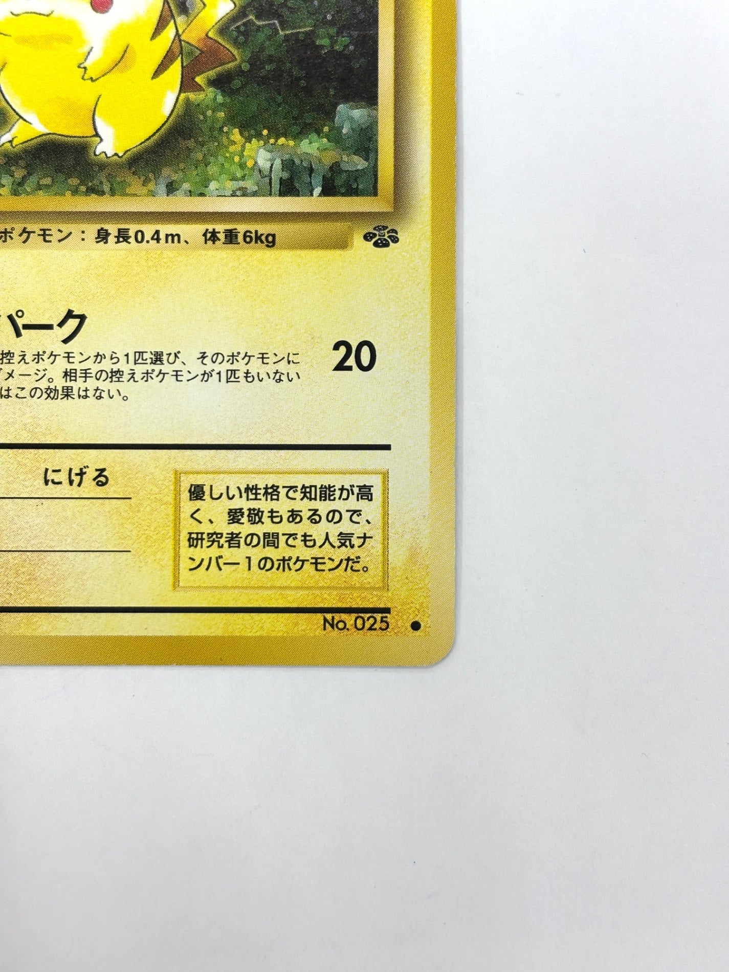 LV14HP50NO025-ORG2 ピカチュウ(右中央:ラフレシア)