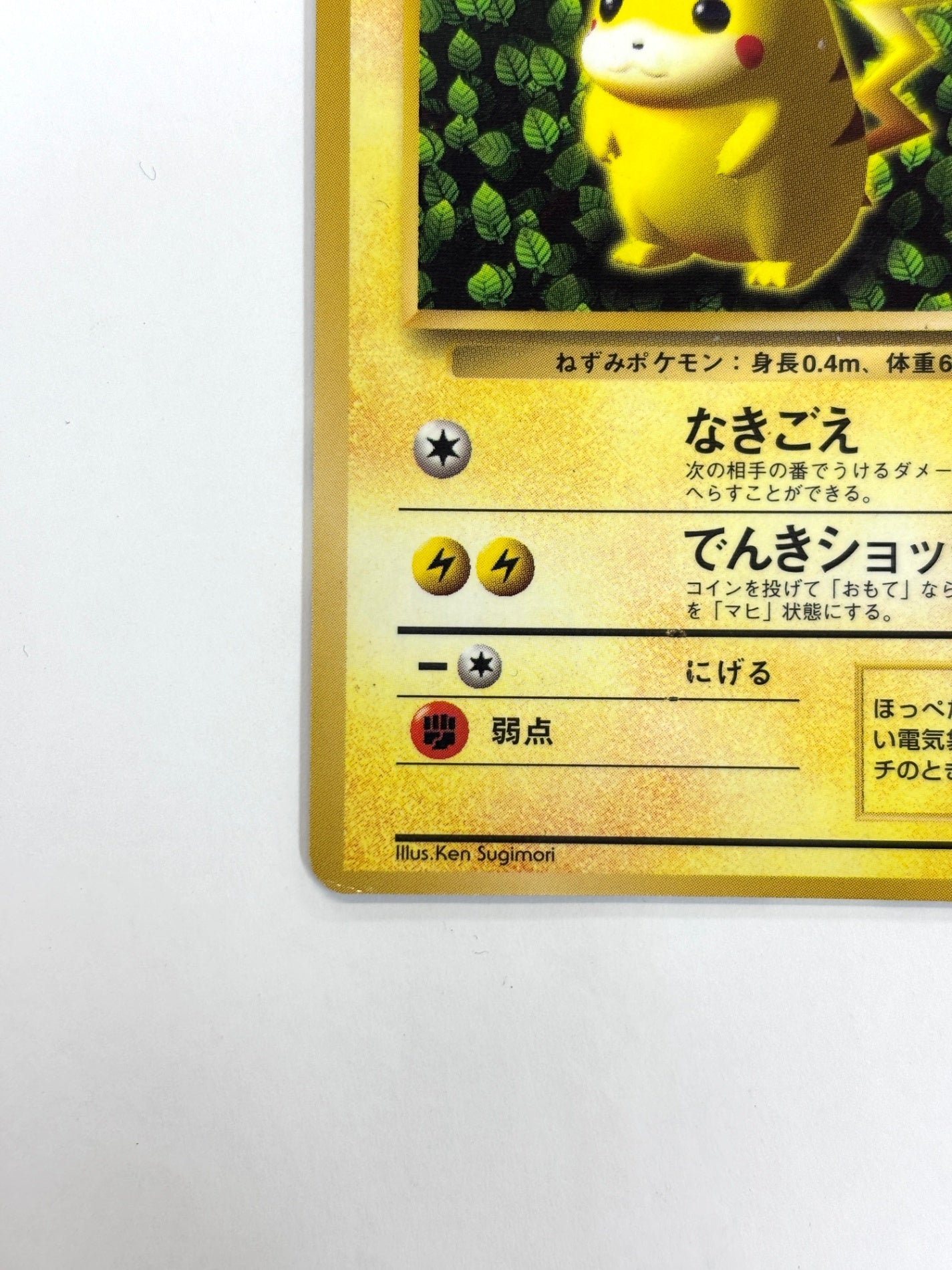 LV16HP60NO025-ORG/P ピカチュウ(Illus.Ken Sugimori)
