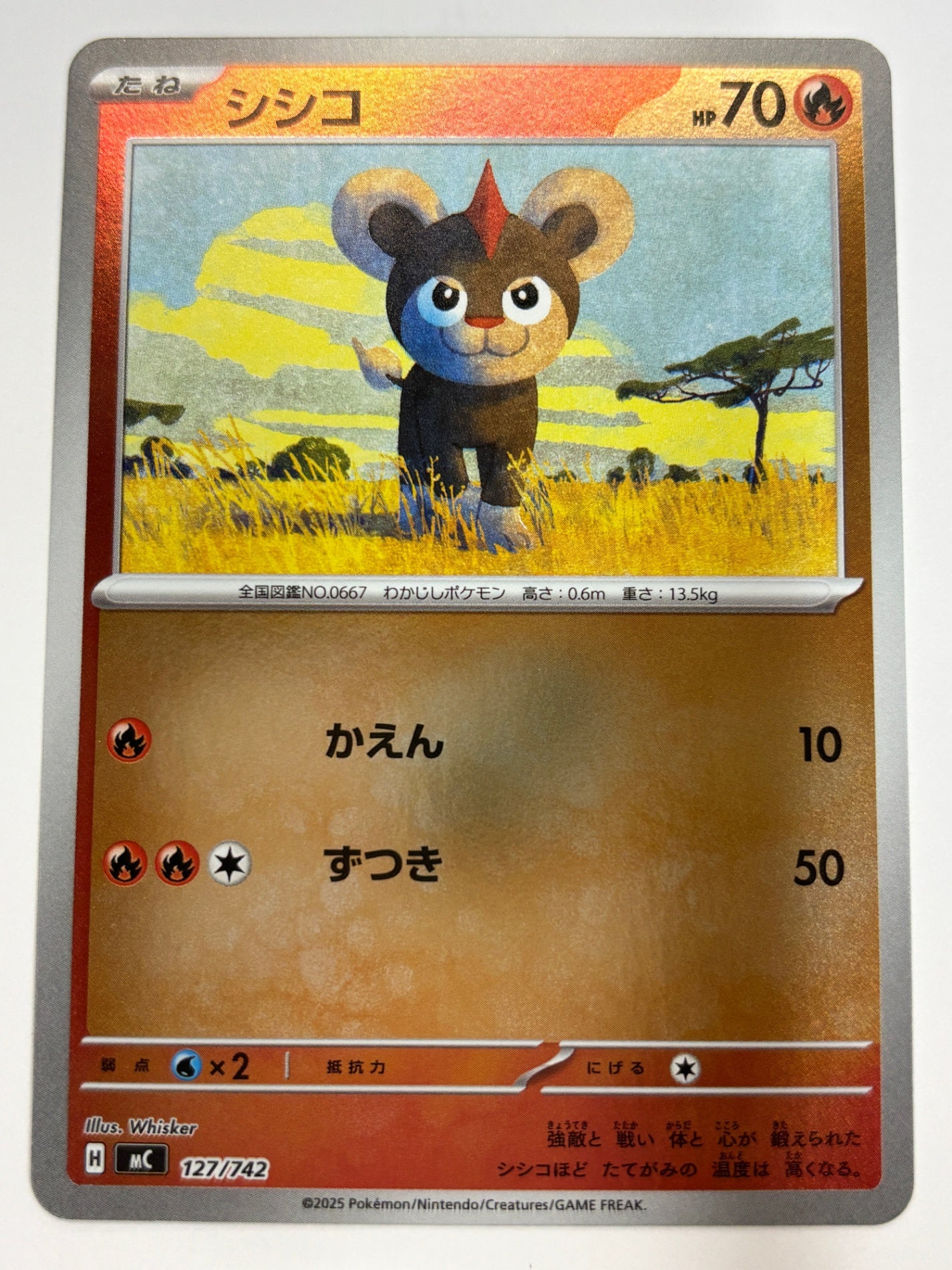 127/742 ミラー仕様)シシコ