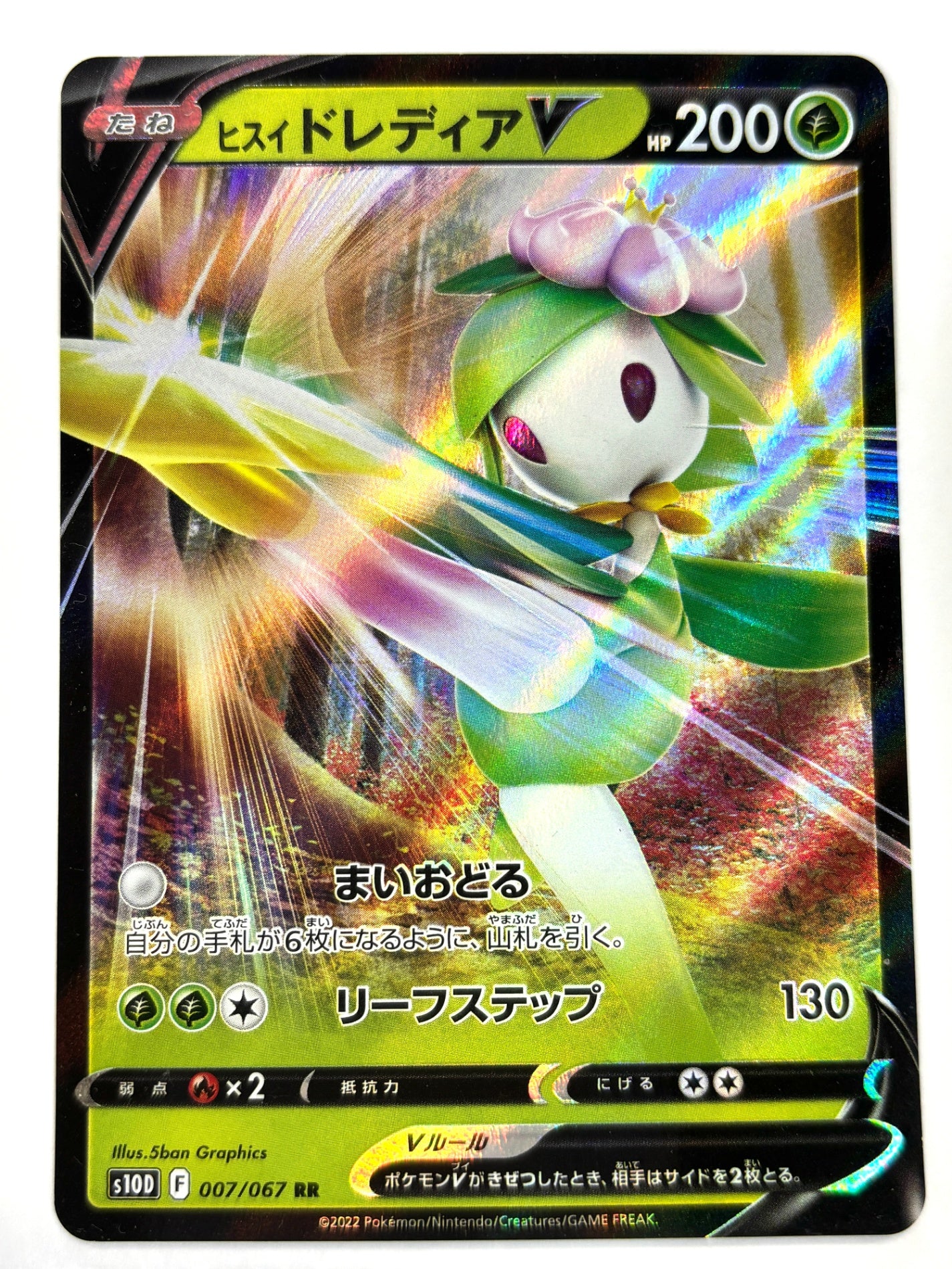 007/067/S10D/B ヒスイドレディアV