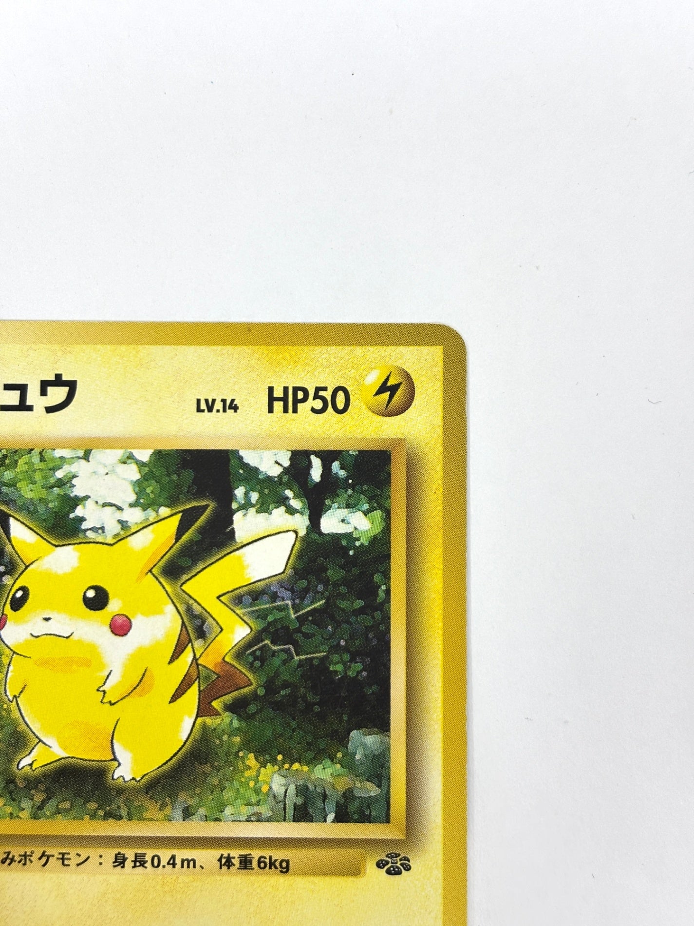 LV14HP50NO025-ORG2 ピカチュウ(右中央:ラフレシア)