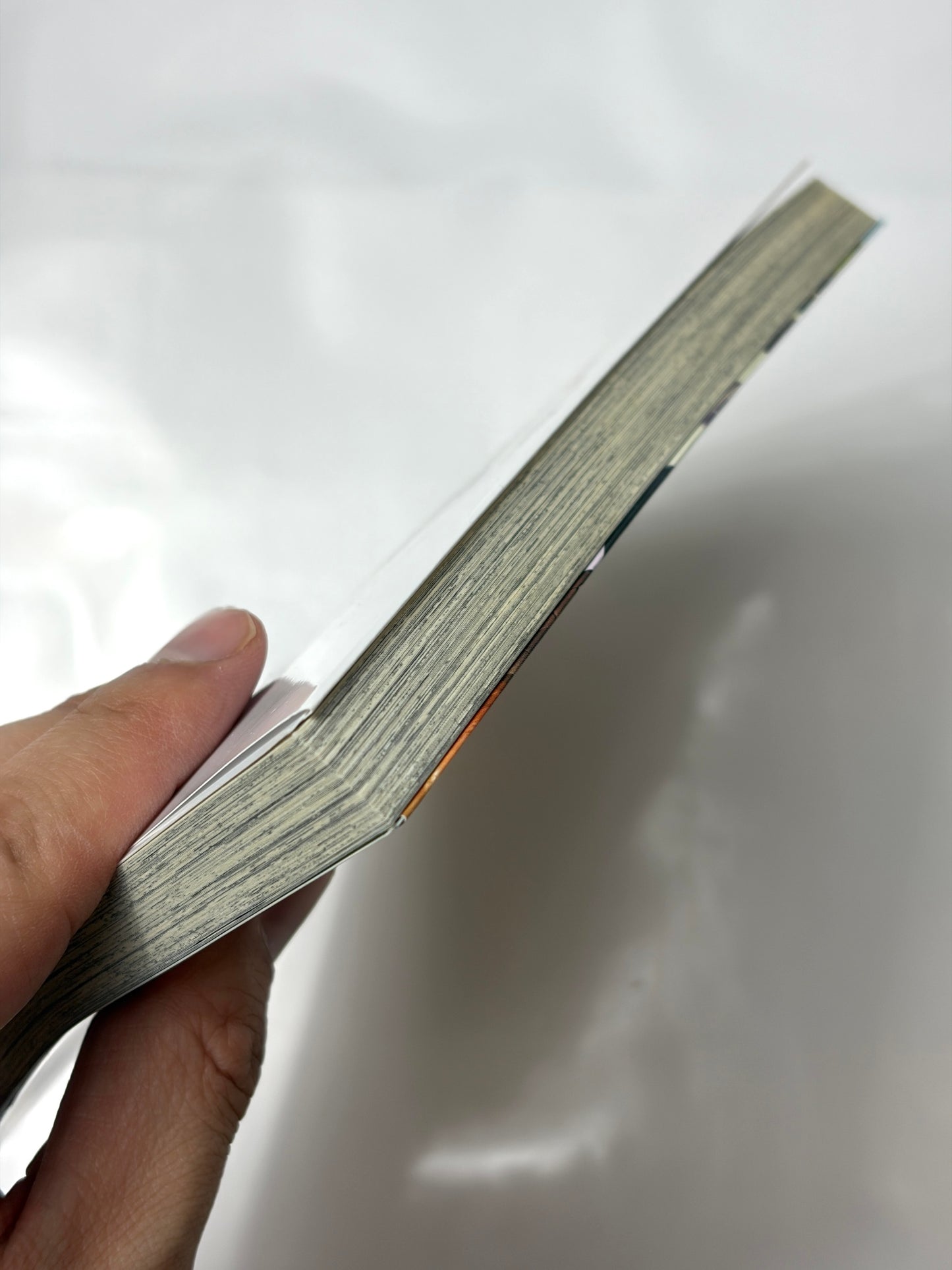 社畜騎士がSランク冒険者に拾われてヒモになる話 ~おいしい料理は絆を繋ぐ!?~ (1) (アース・スターコミックス)
