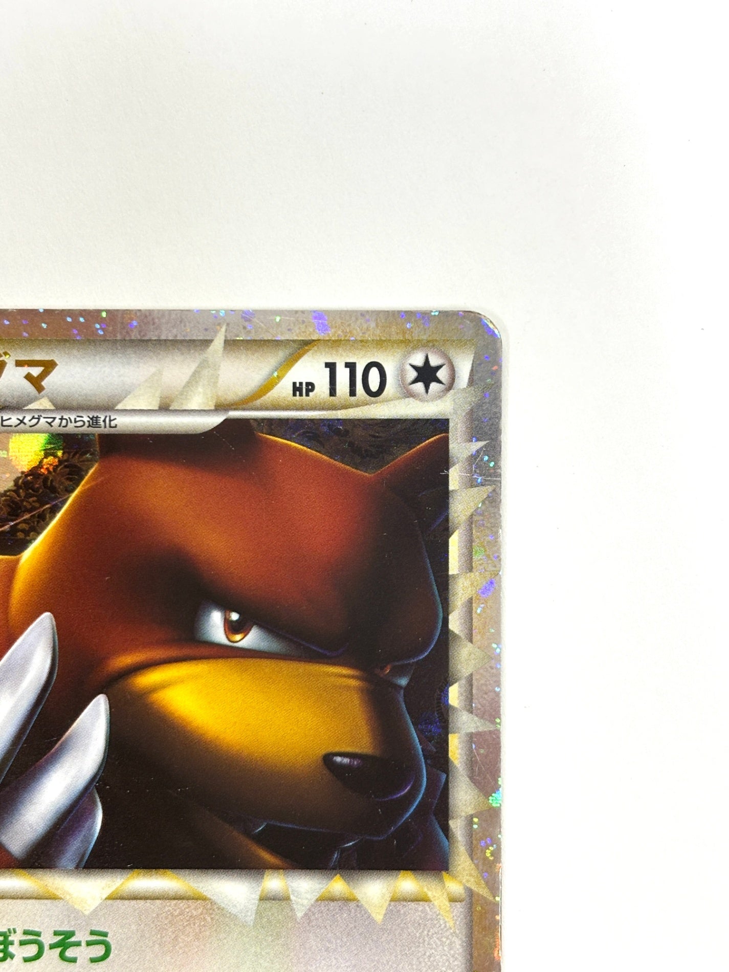 061/070 1ED)リングマ