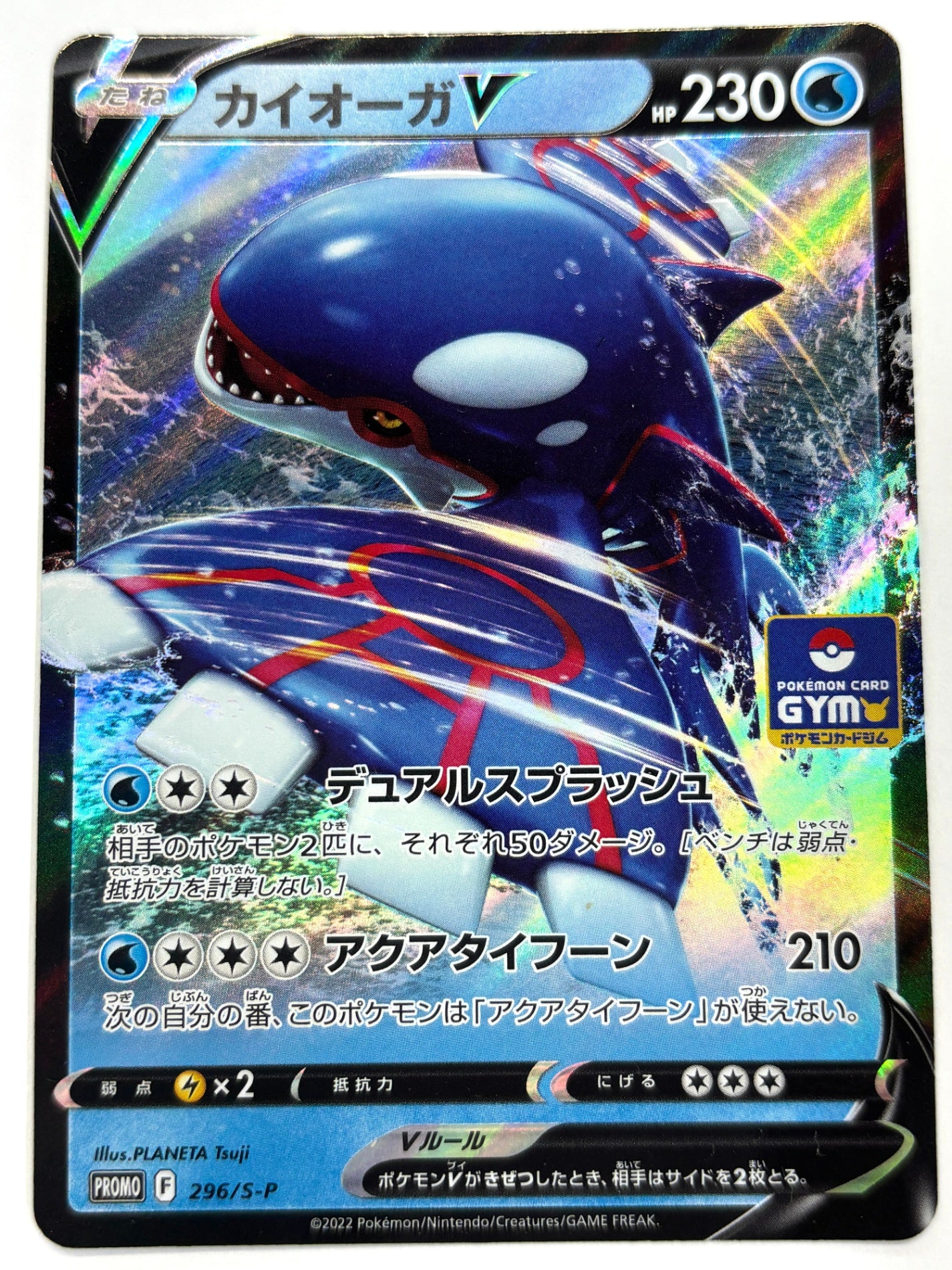296/S/P カイオーガV