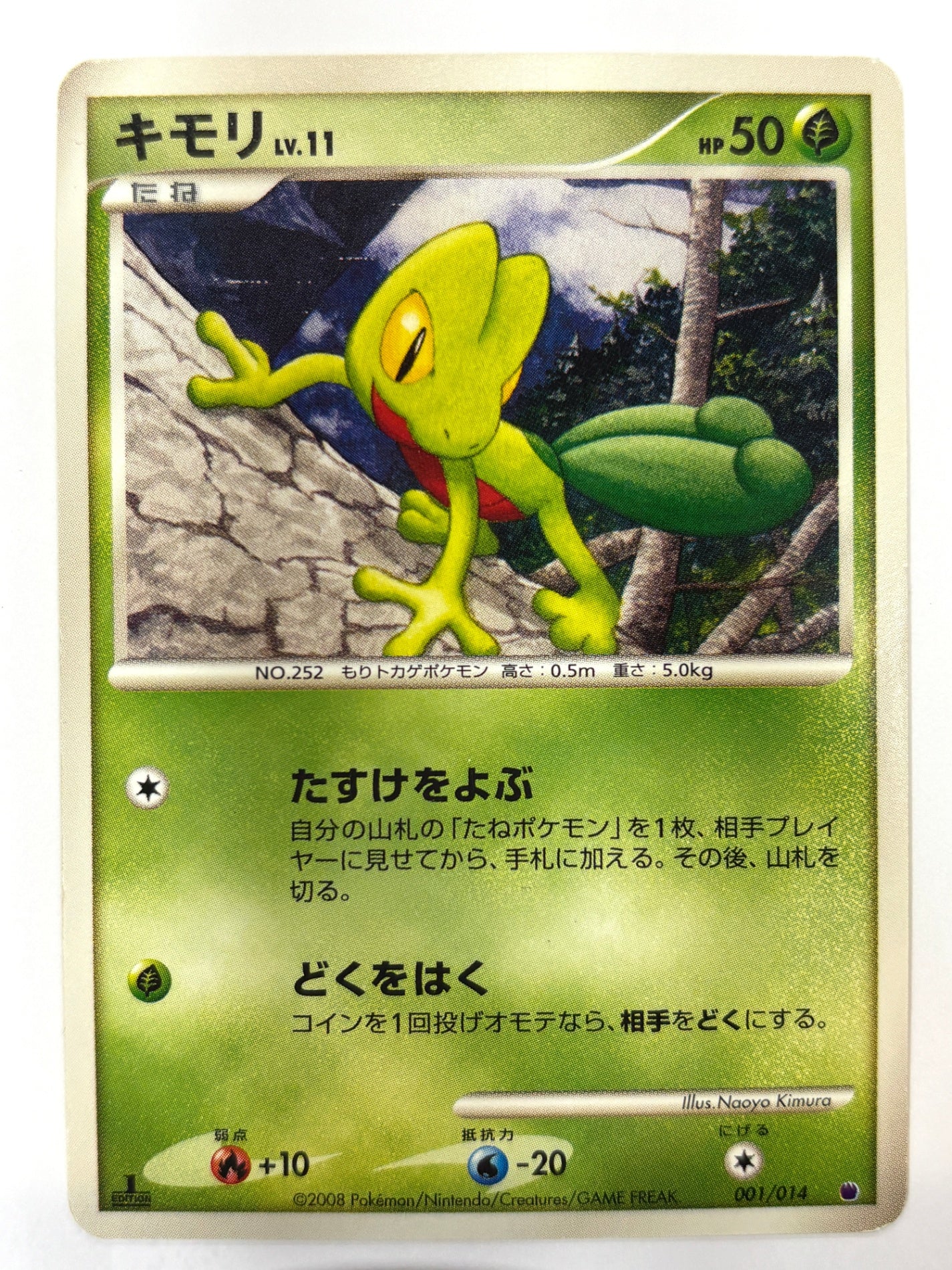 001/014 キモリ