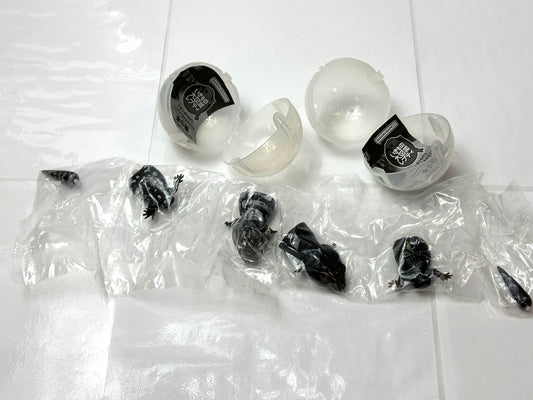 いきもの大図鑑 レプティ アオジタトカゲ 2個セット 全長 100mm 可動箇所9箇所 BANDAI ガシャポン フィギュア 8/21