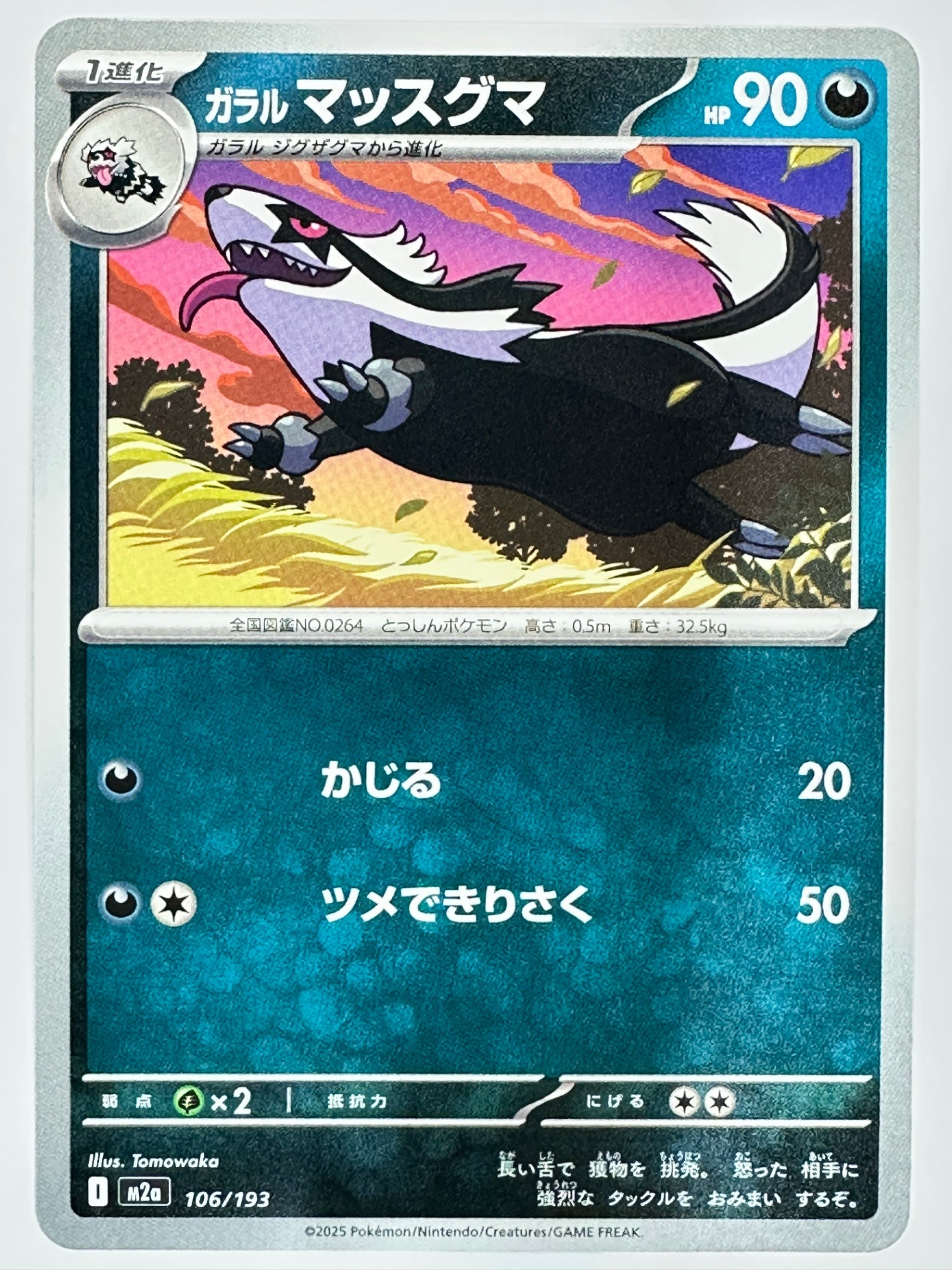 106/193 ガラルマッスグマ