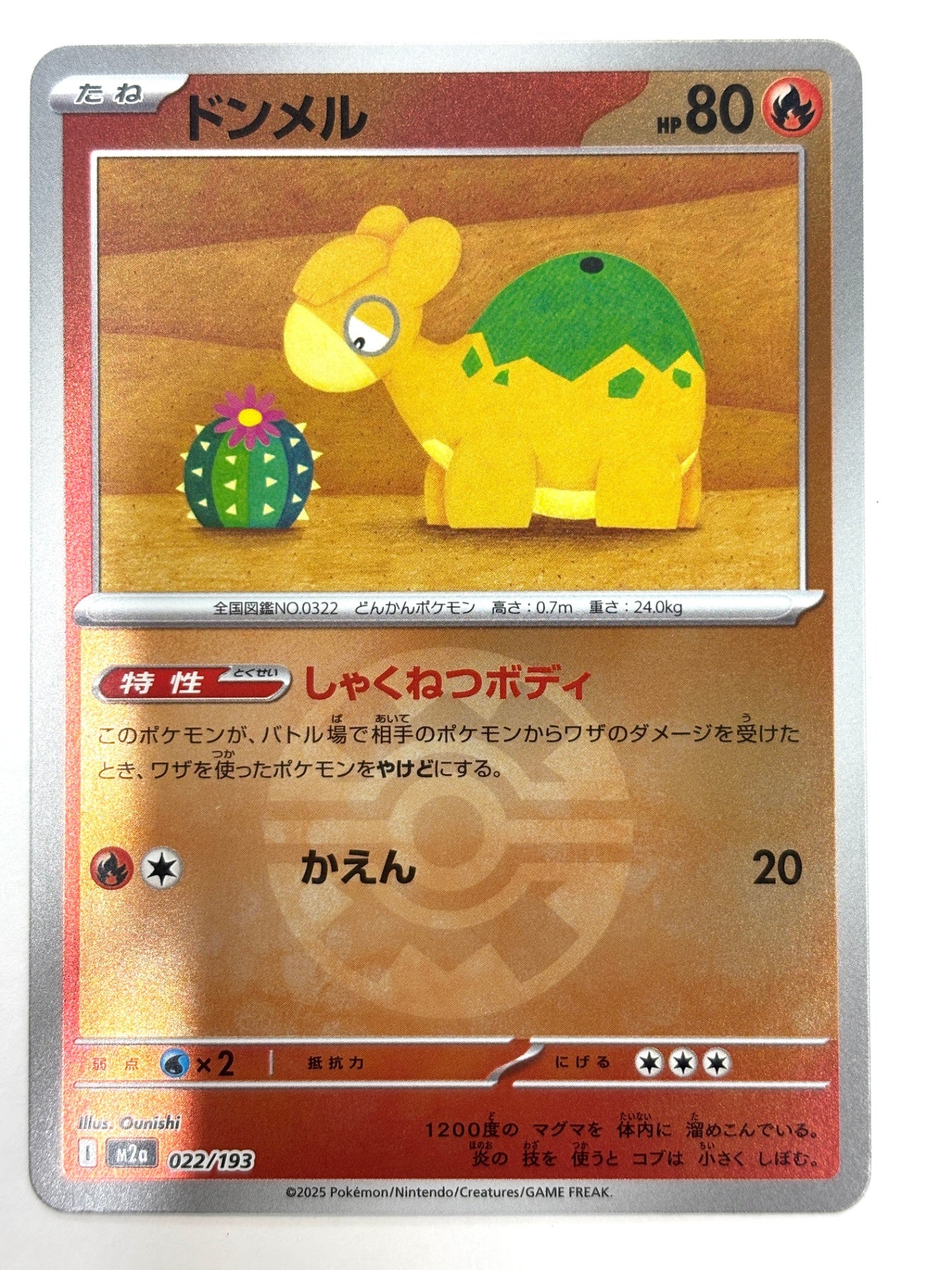 022/193 ミラー)ドンメル(ボール柄)