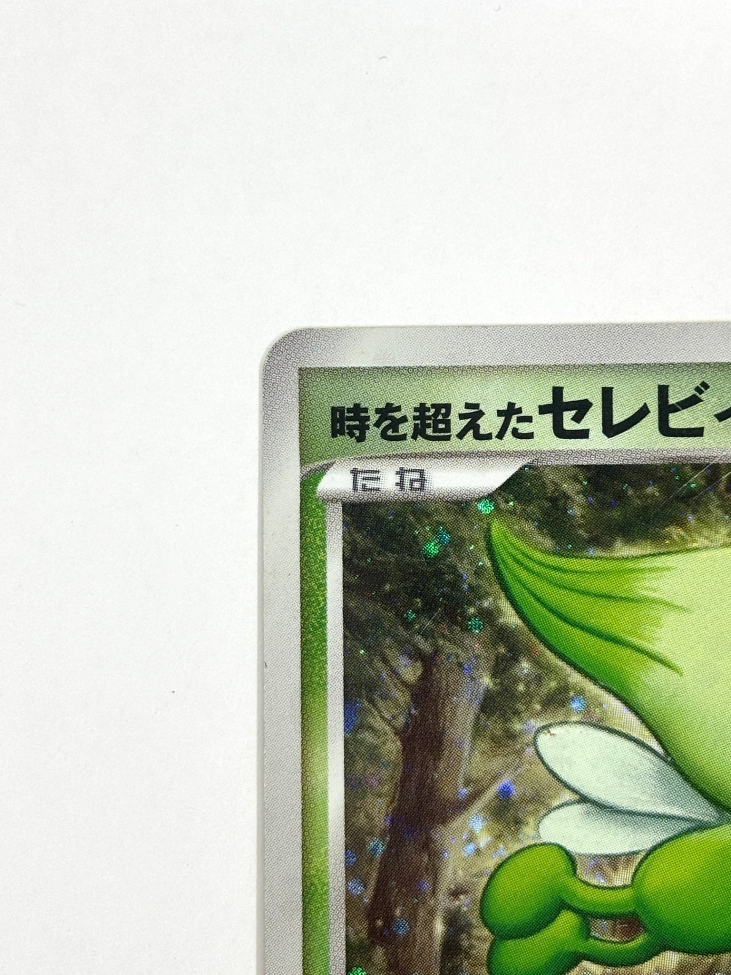 10th/004 時を超えたセレビィ