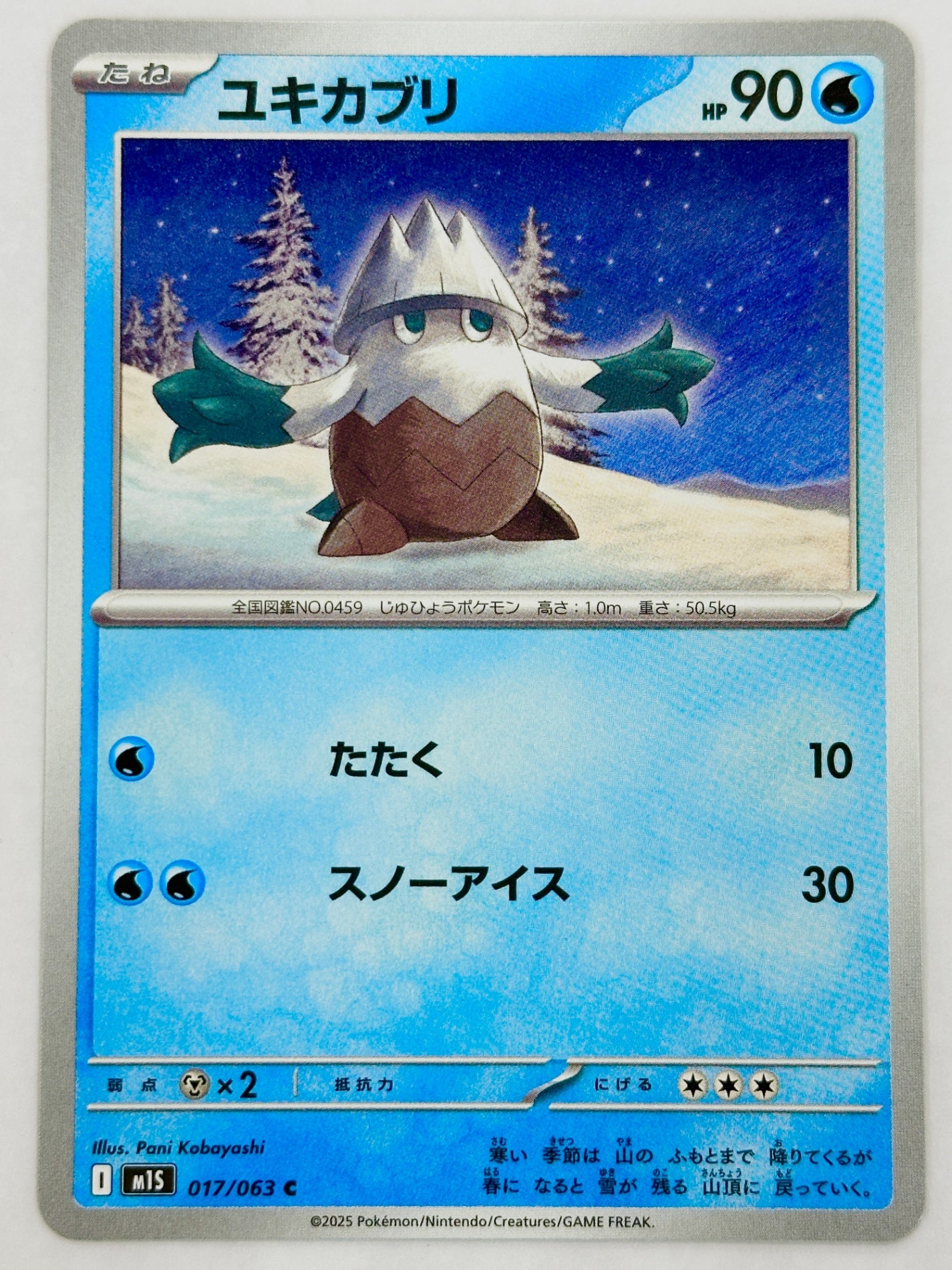 017/063 ユキカブリ