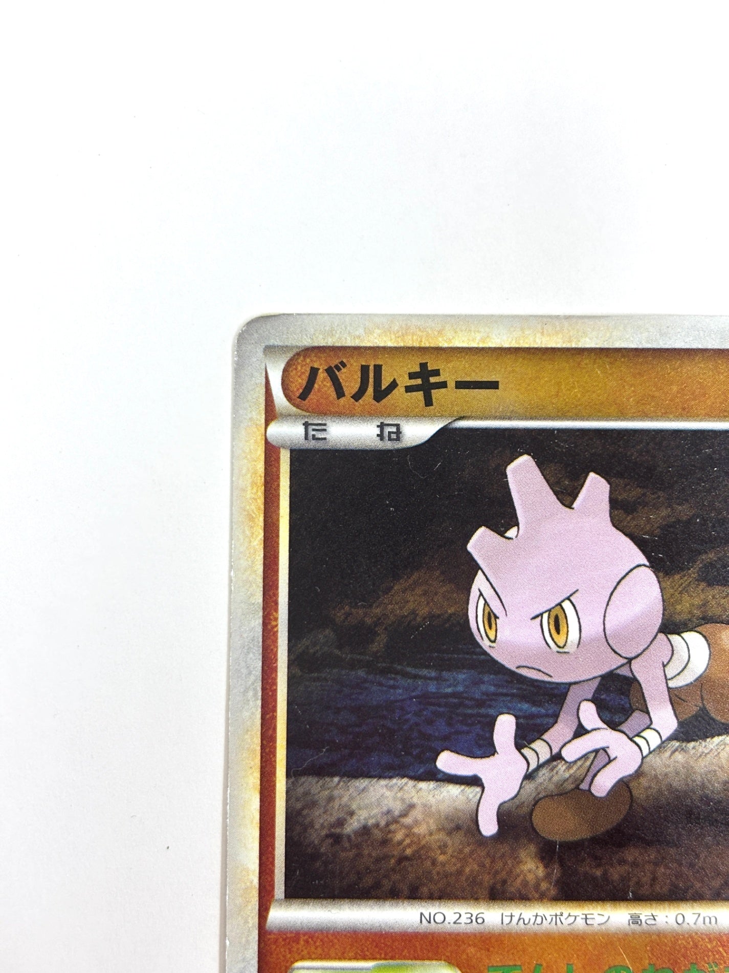 048/070 1ED)バルキー