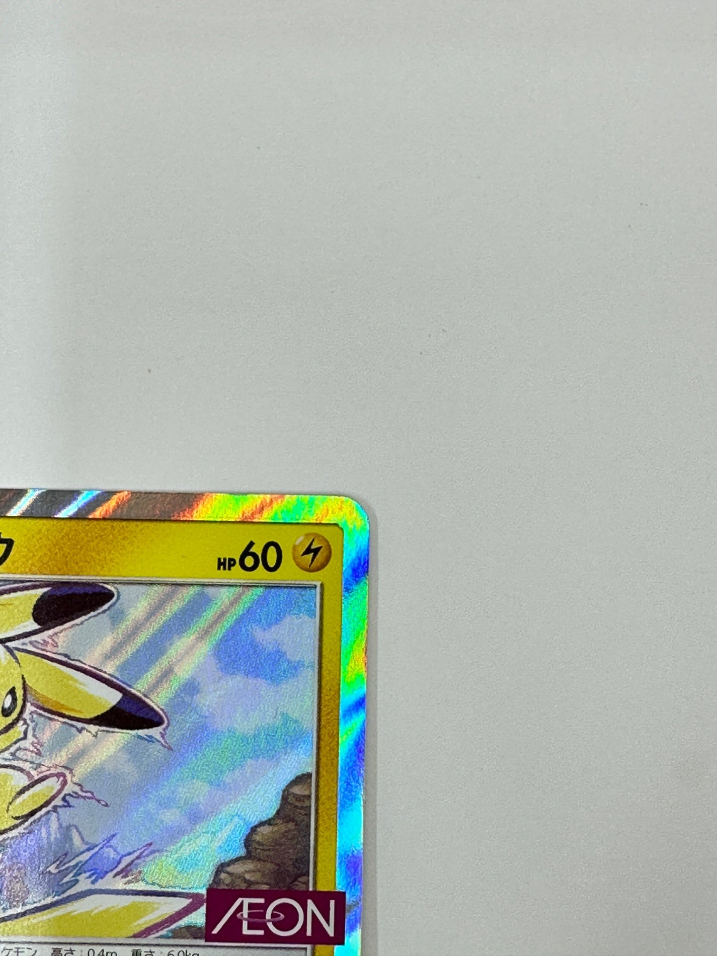 307/SM-P ピカチュウ　【状態B】