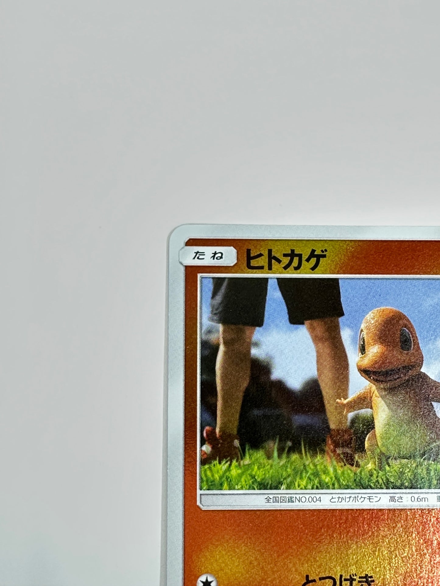 005/024 ヒトカゲ