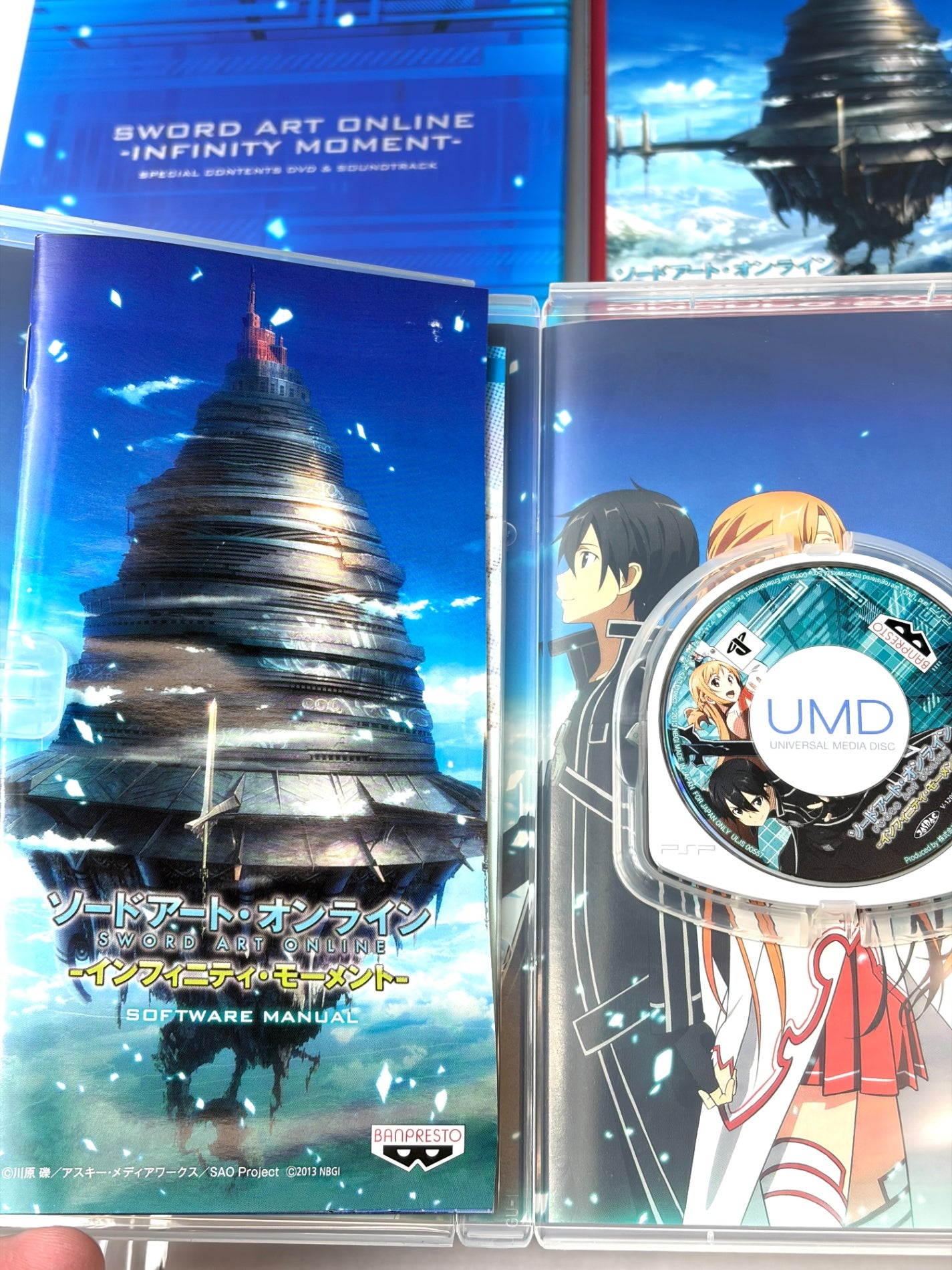 ソードアート・オンライン インフィニティ・モーメント 初回限定生産版 【DVD・サントラCD付】 SAO