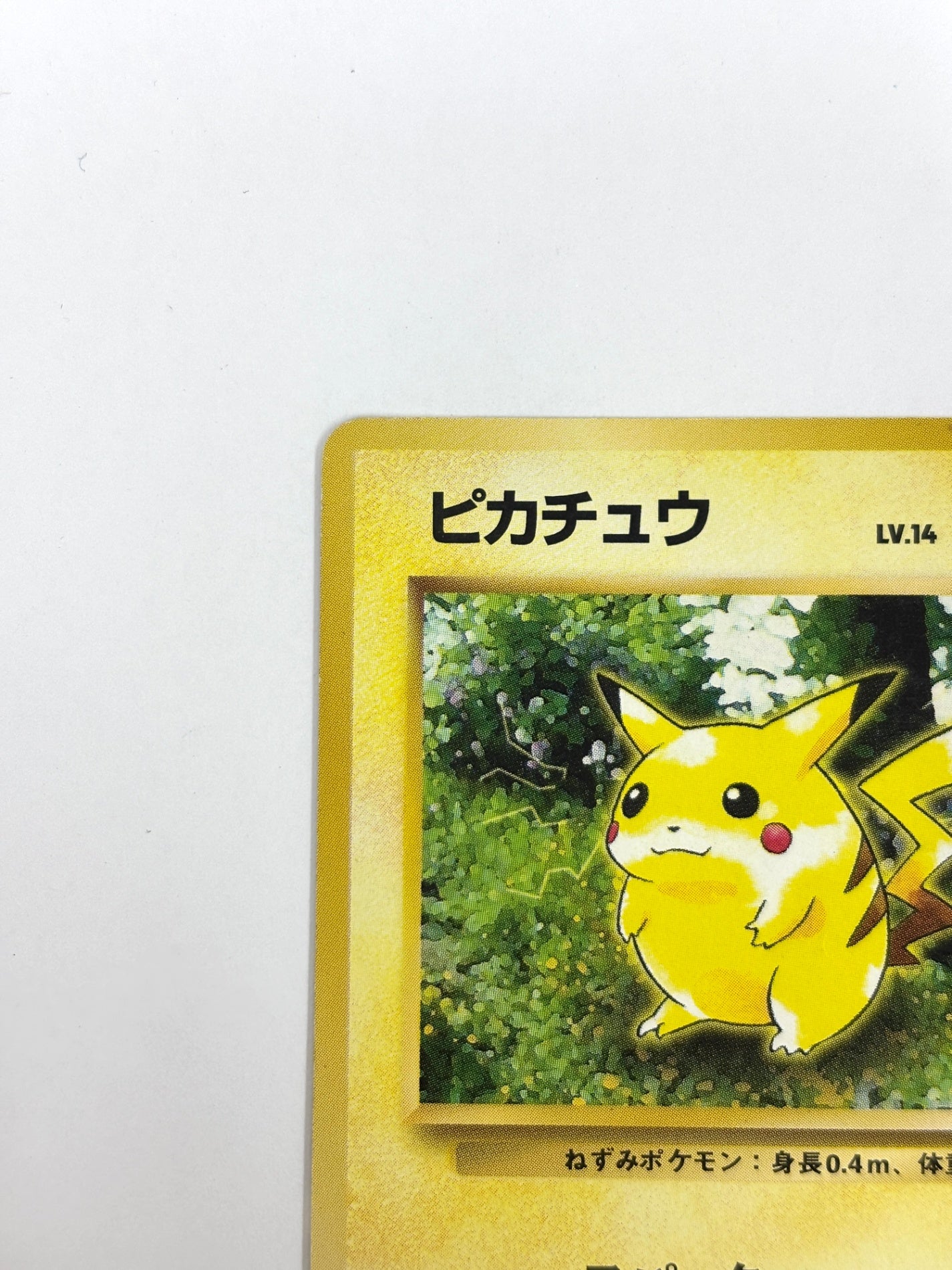 LV14HP50NO025-ORG2 ピカチュウ(右中央:ラフレシア)