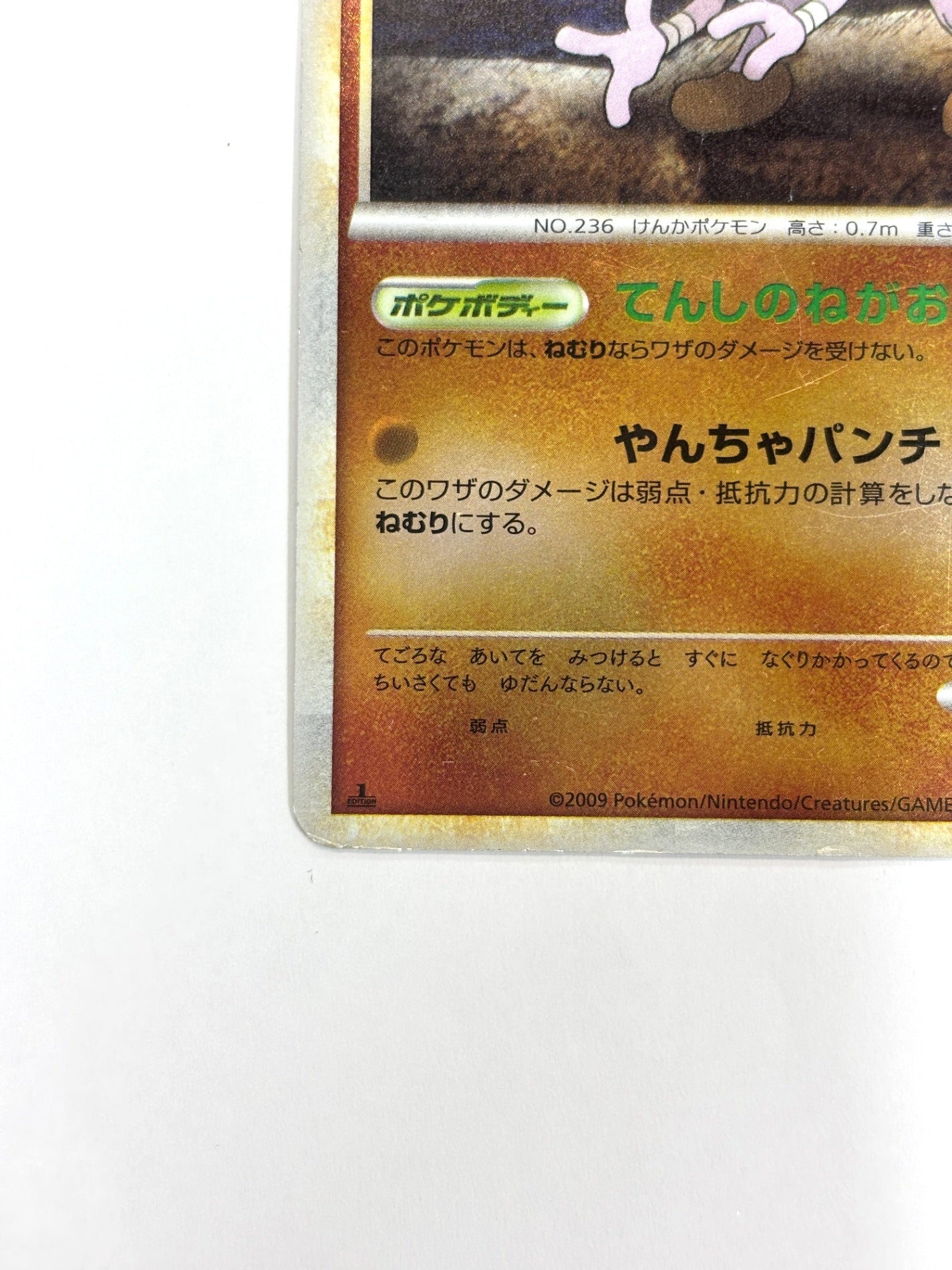 048/070 1ED)バルキー