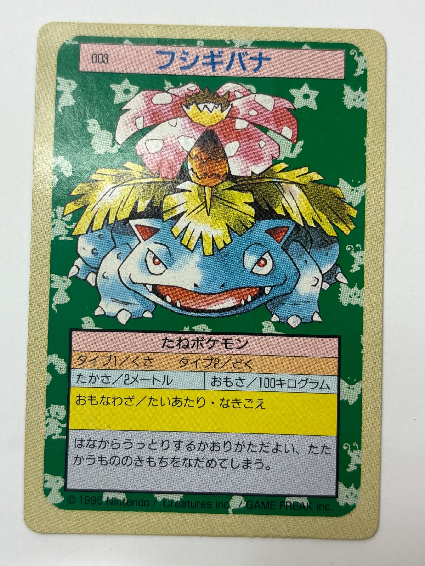 トップサン フシギバナ 裏面緑