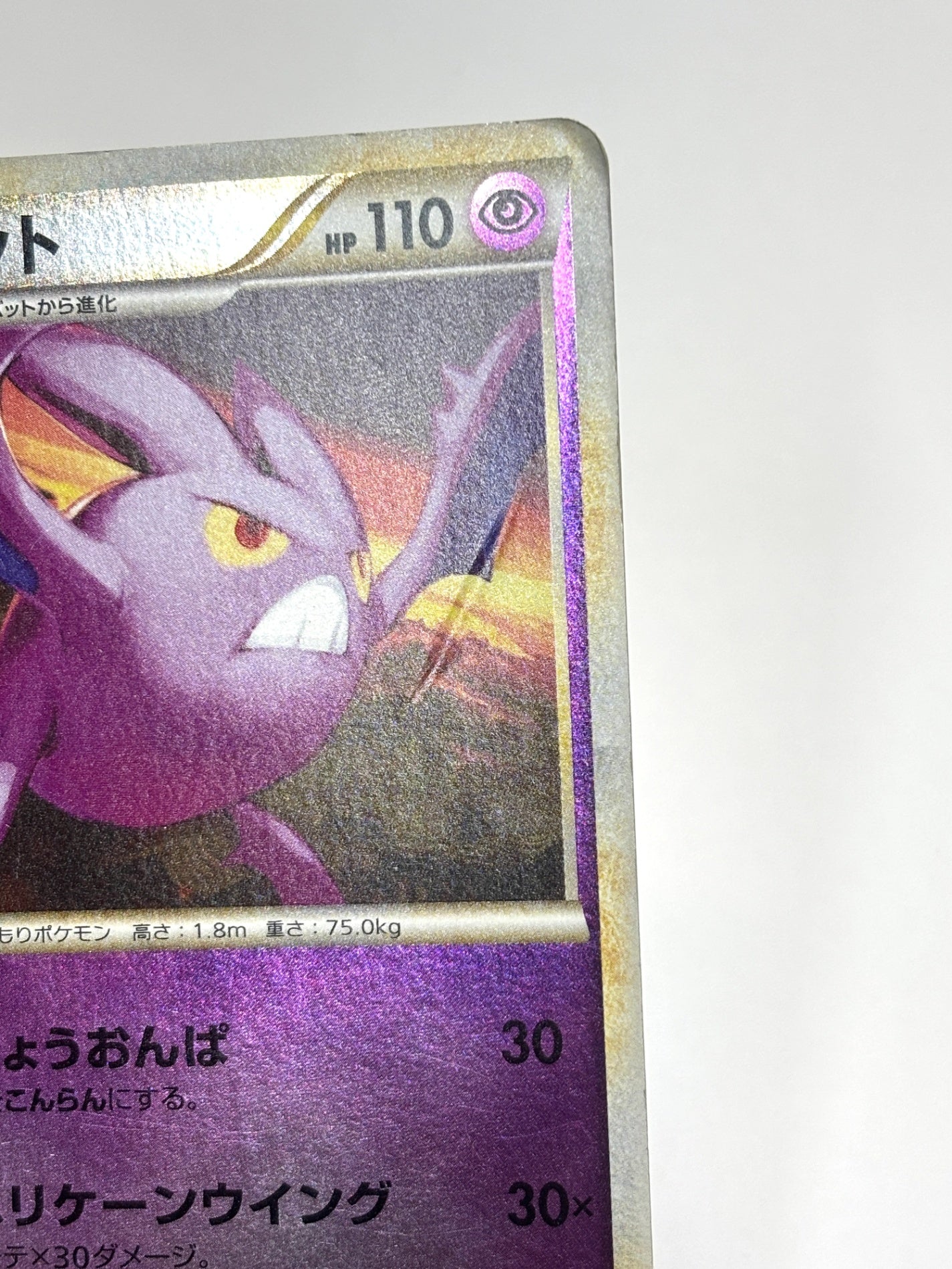 036/070 1ED)クロバット