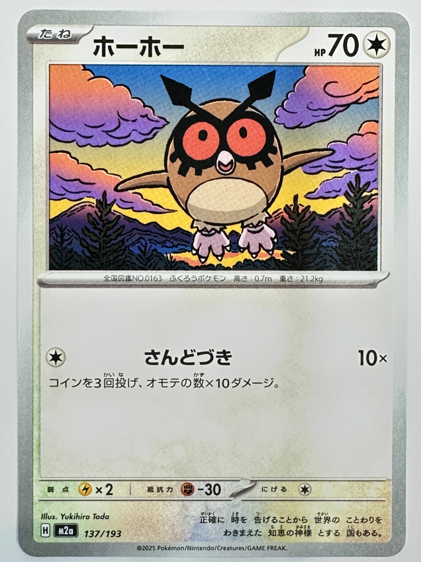 137/193 ホーホー