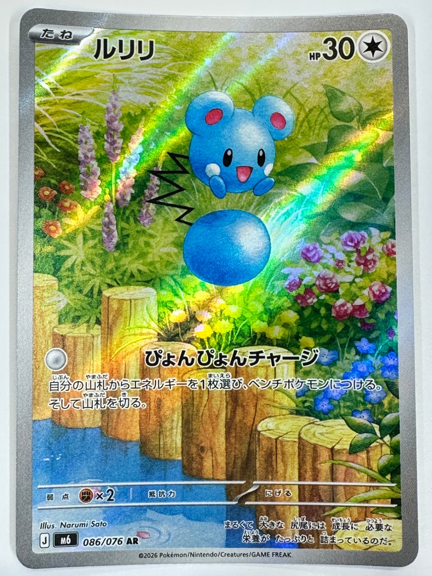 086/076 ルリリ