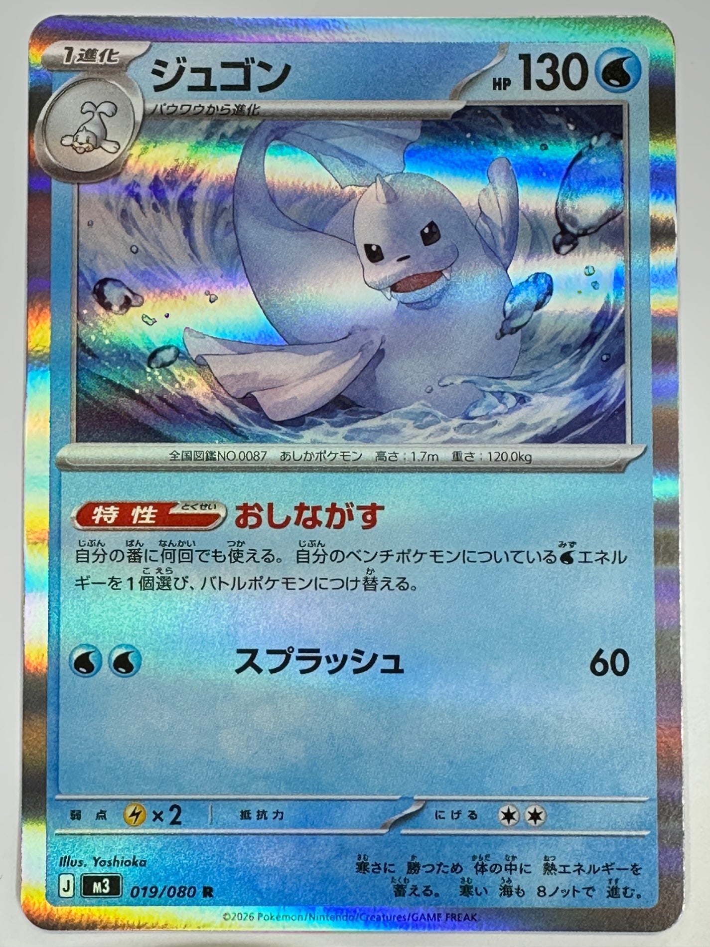 019/080 ジュゴン
