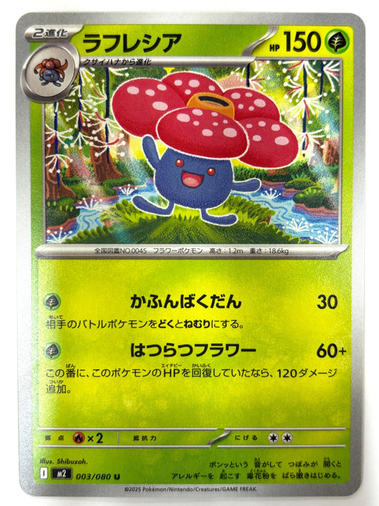 003/080 ラフレシア
