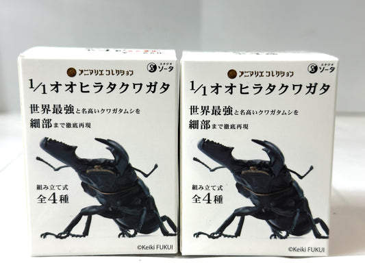 内装未開封品 アニマリエコレクション 1/1オオヒラタクワガタ 2個セット 組み立て式 スタジオソータ フィギュア 10/10