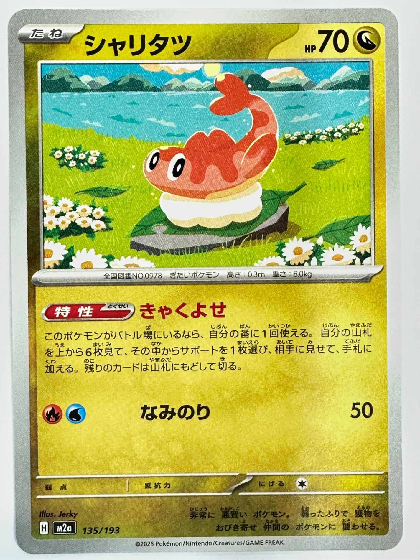 135/193 シャリタツ