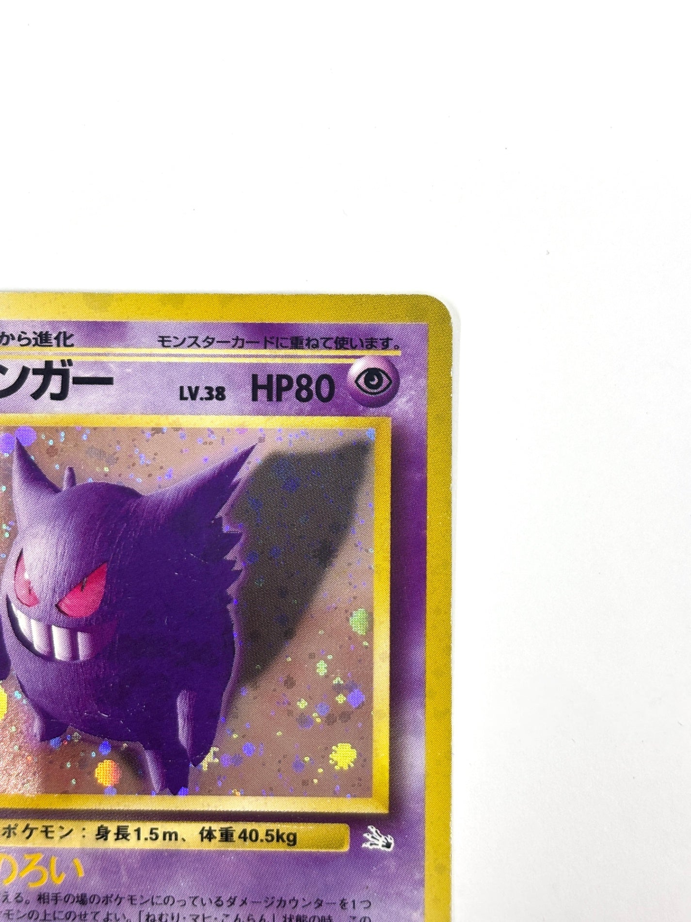 LV38HP80NO094-ORG3 ゲンガー(右中央:3本指の化石)