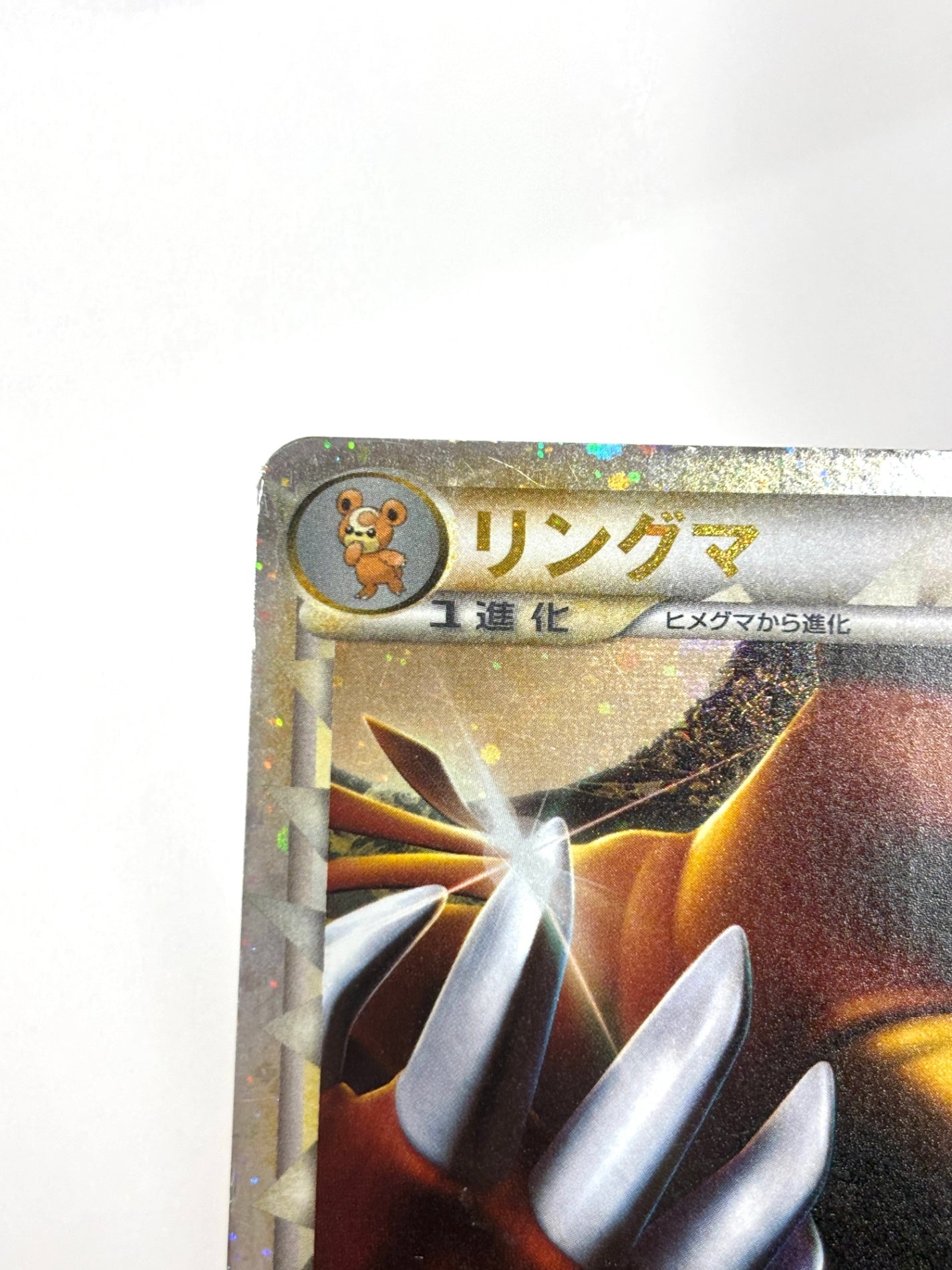 061/070 1ED)リングマ