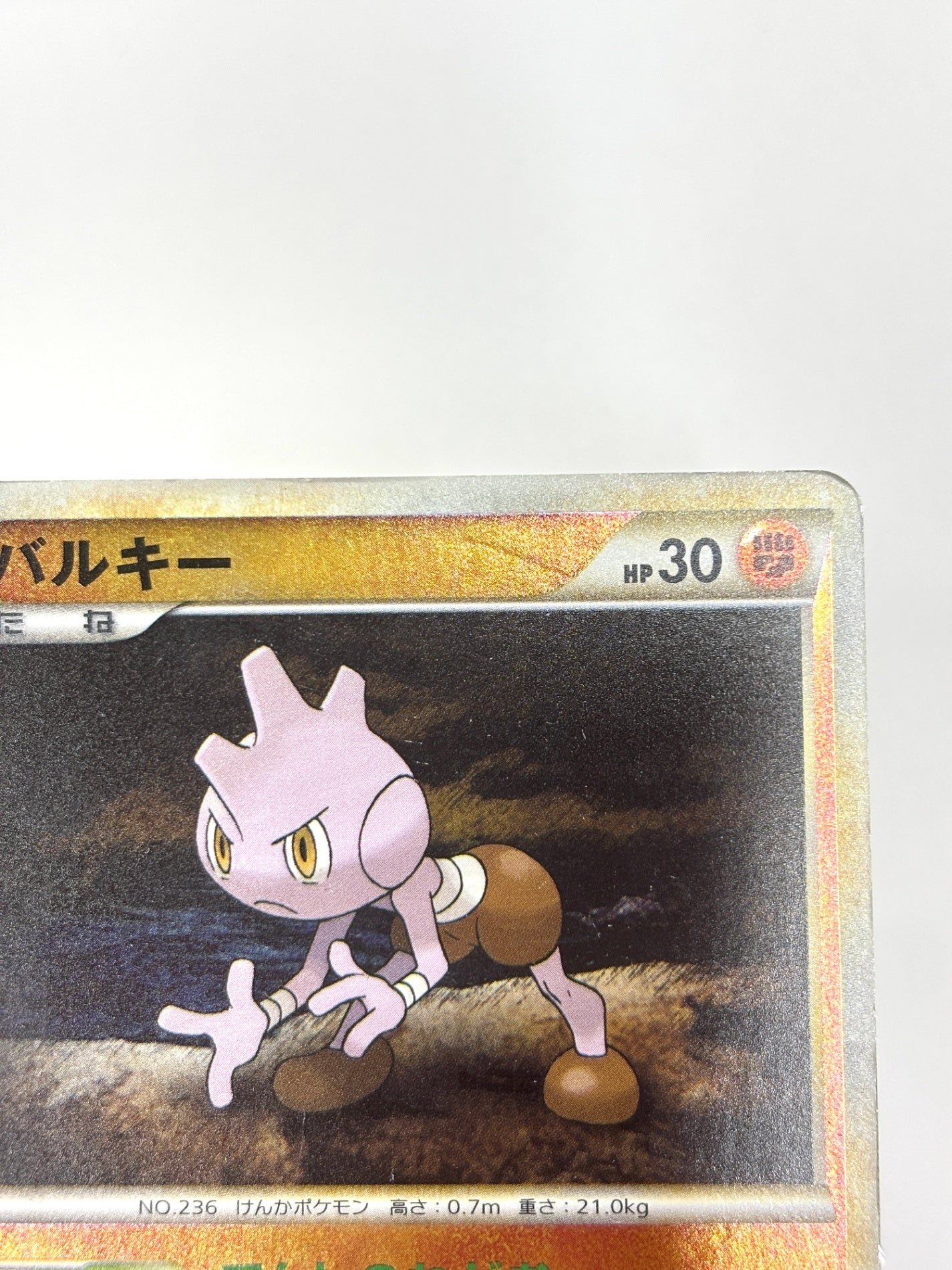 048/070 1ED)バルキー