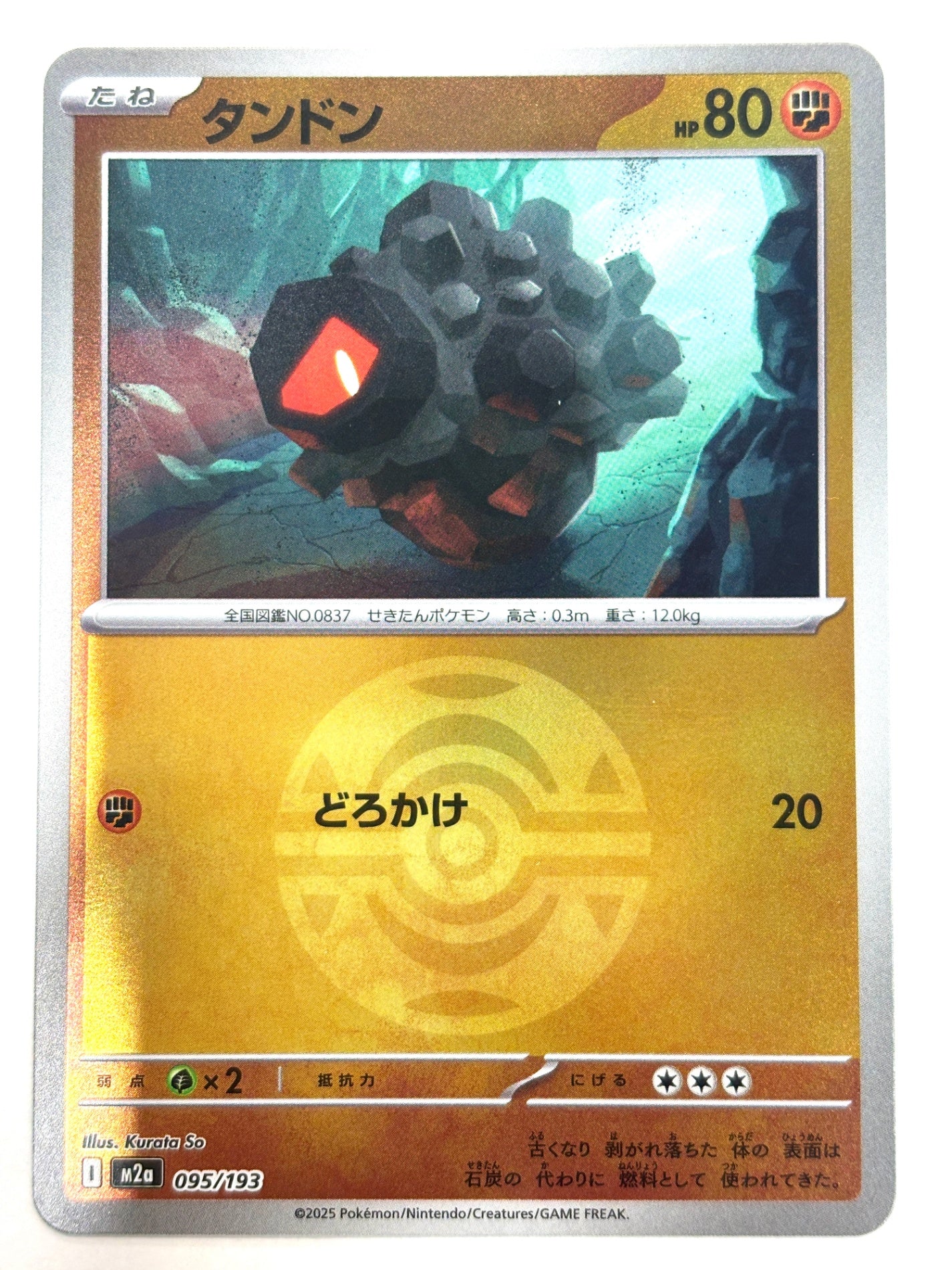 095/193 ミラー)タンドン(ボール柄)