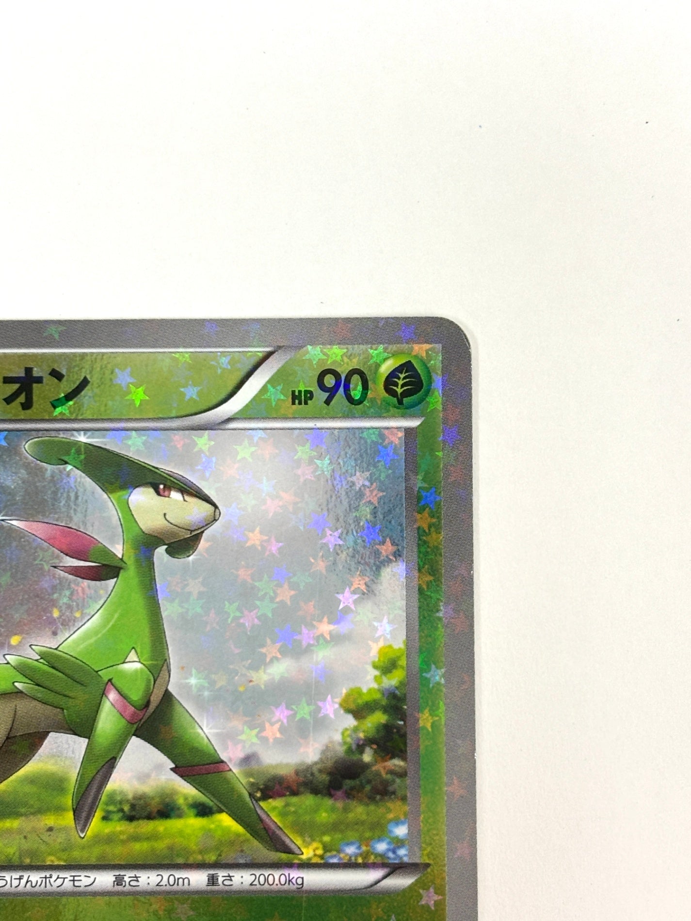 005/047 ビリジオン(カード右下アイコン緑色)