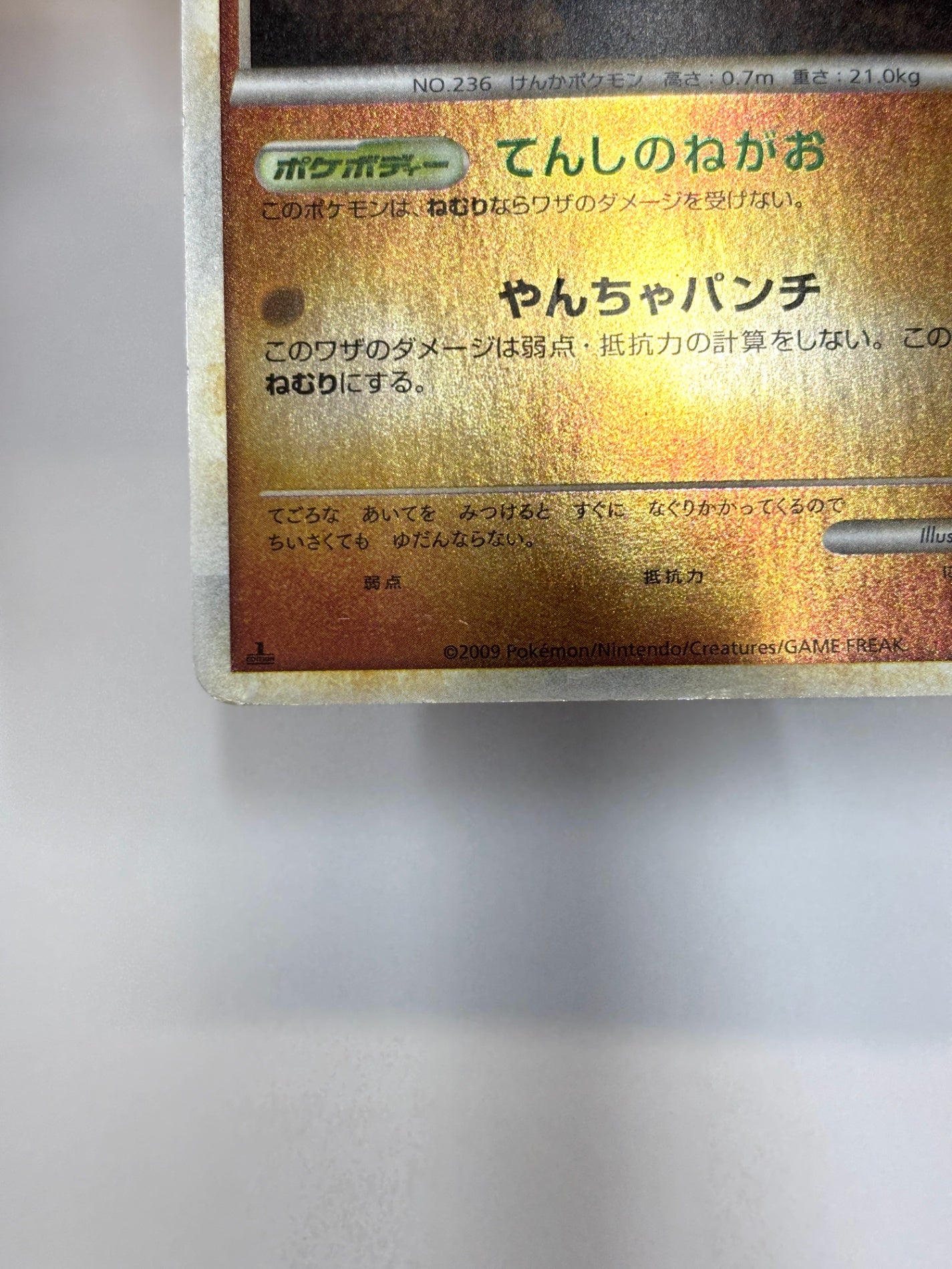 048/070 1ED)バルキー