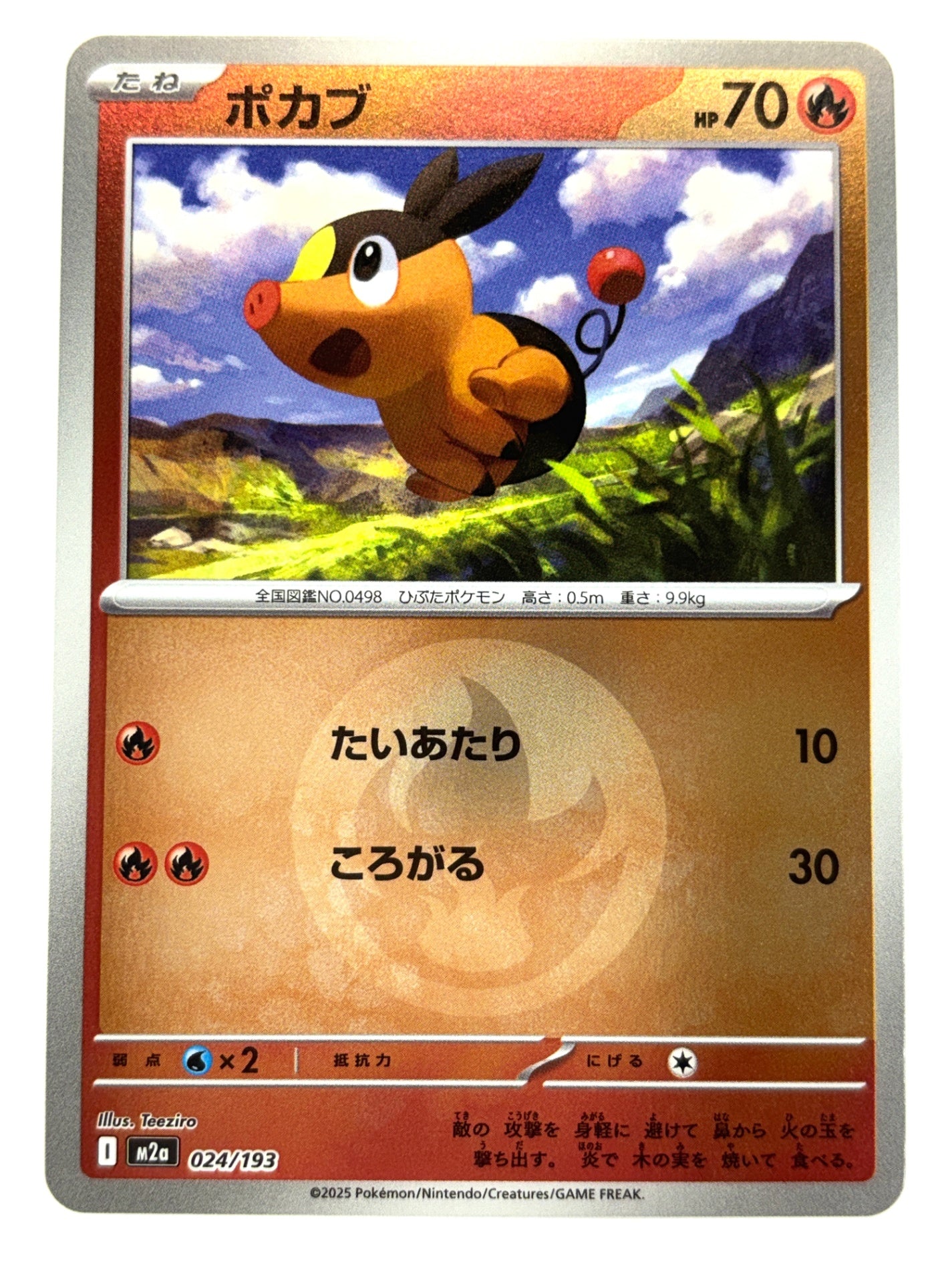 024/193 ミラー)ポカブ(エネルギー柄)