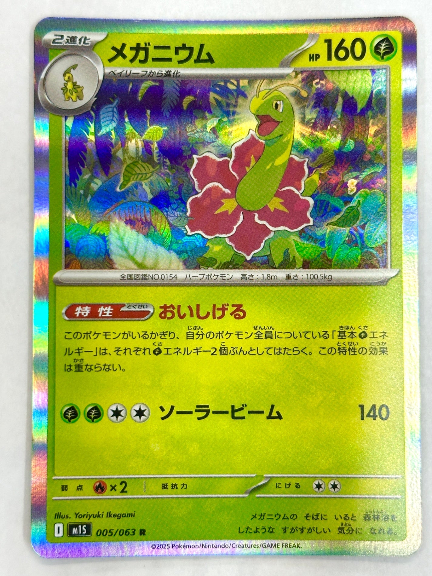 005/063 メガニウム