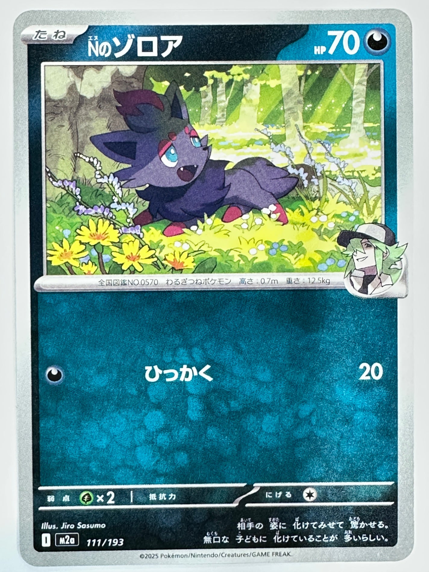 111/193 Nのゾロア