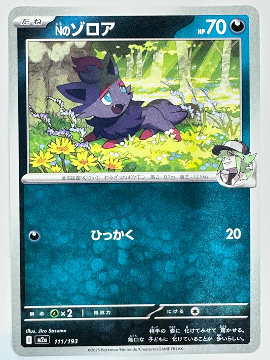 111/193 Nのゾロア