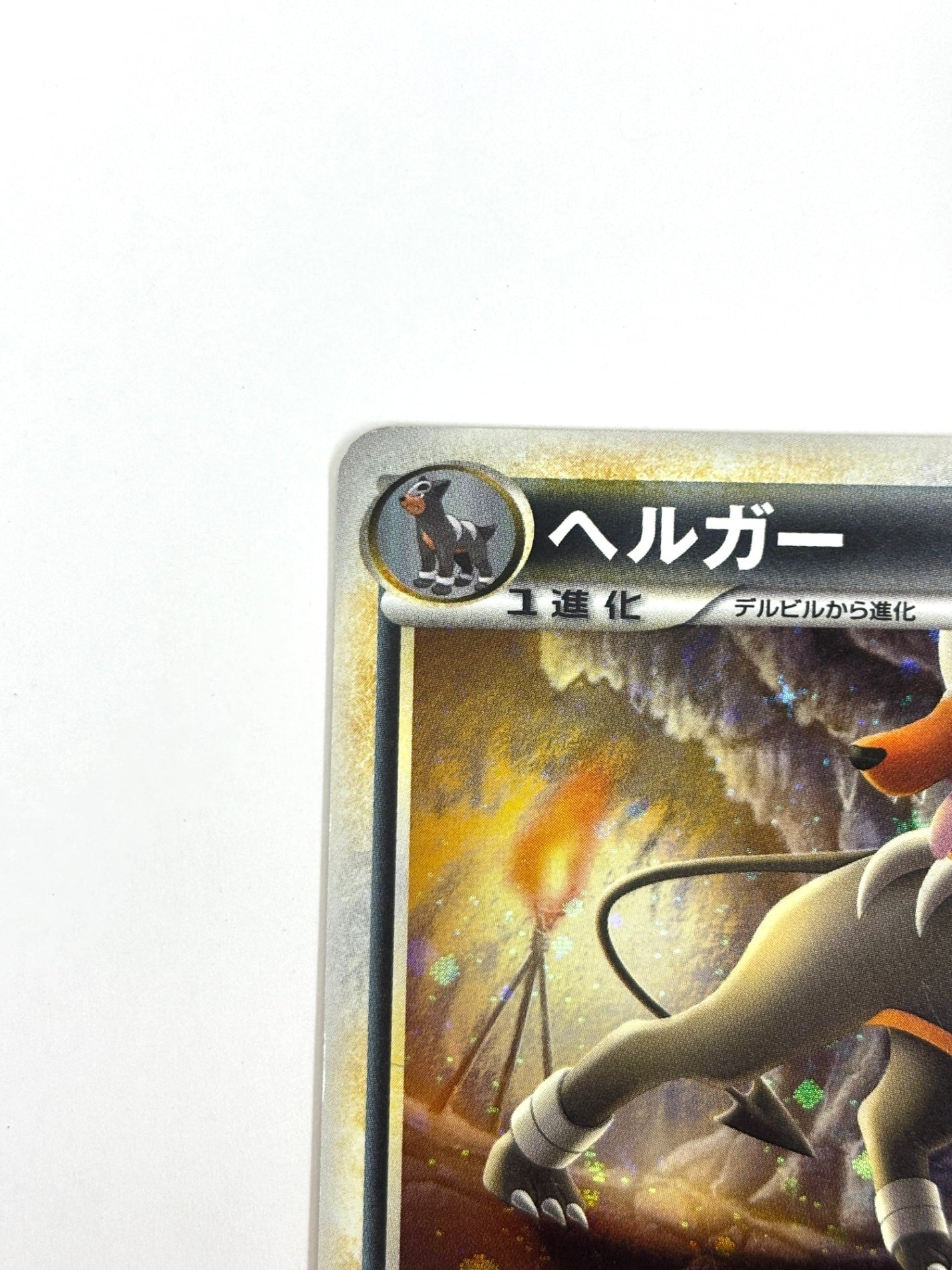 043/080/L2/W ヘルガー