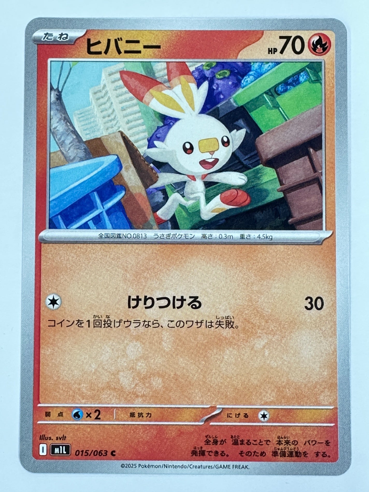 015/063 ヒバニー