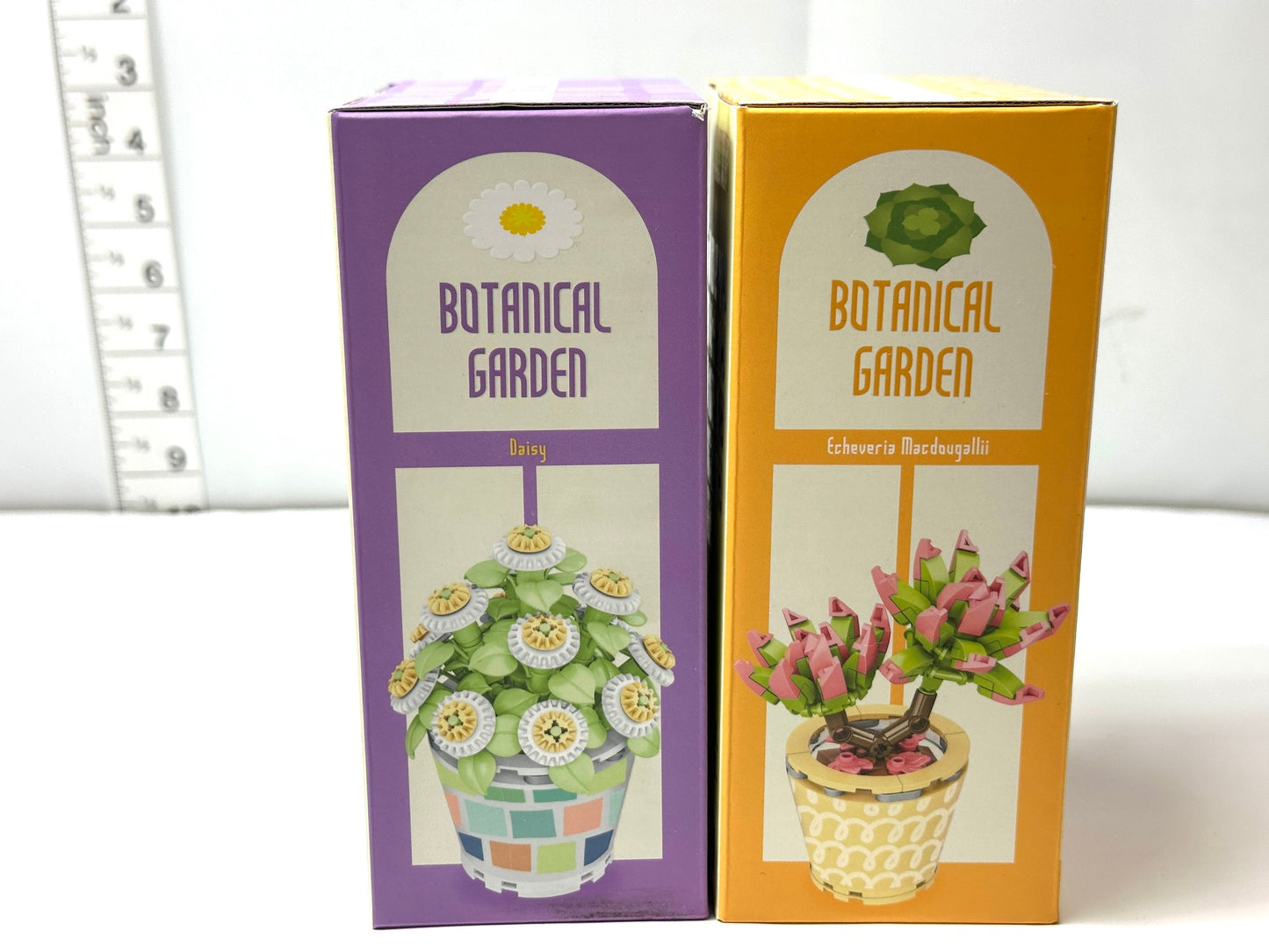 ブロック図鑑NEXT ボタニカルガーデン デイジー エケベリア 2個セット 3/13