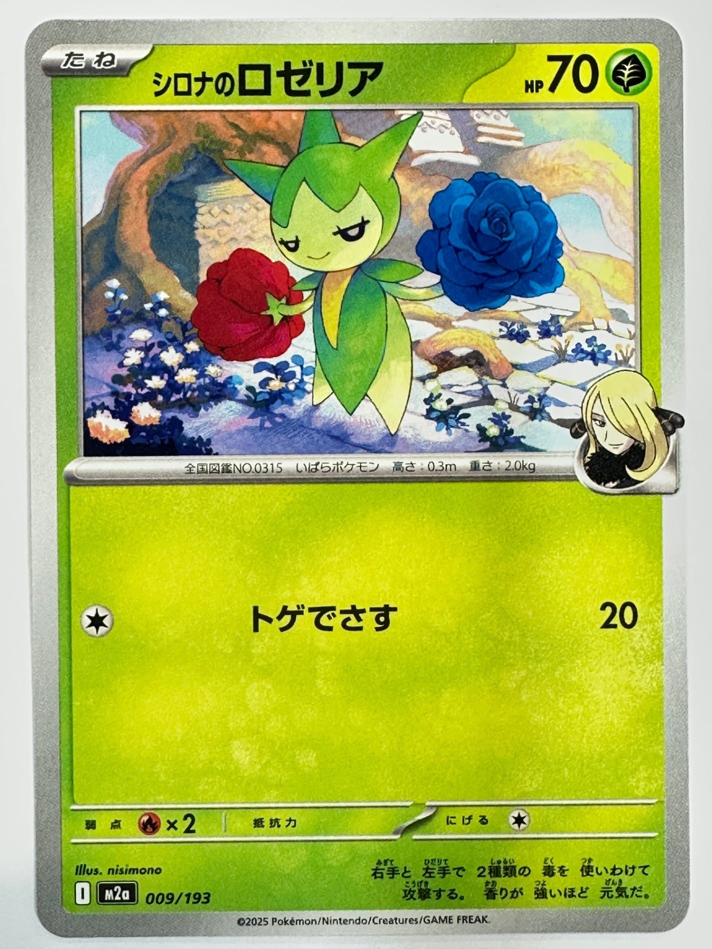 009/193 シロナのロゼリア