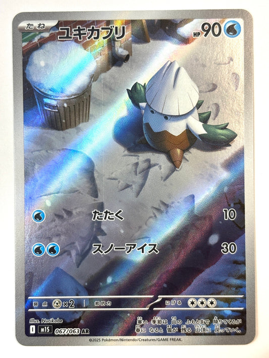 067/063 ユキカブリ