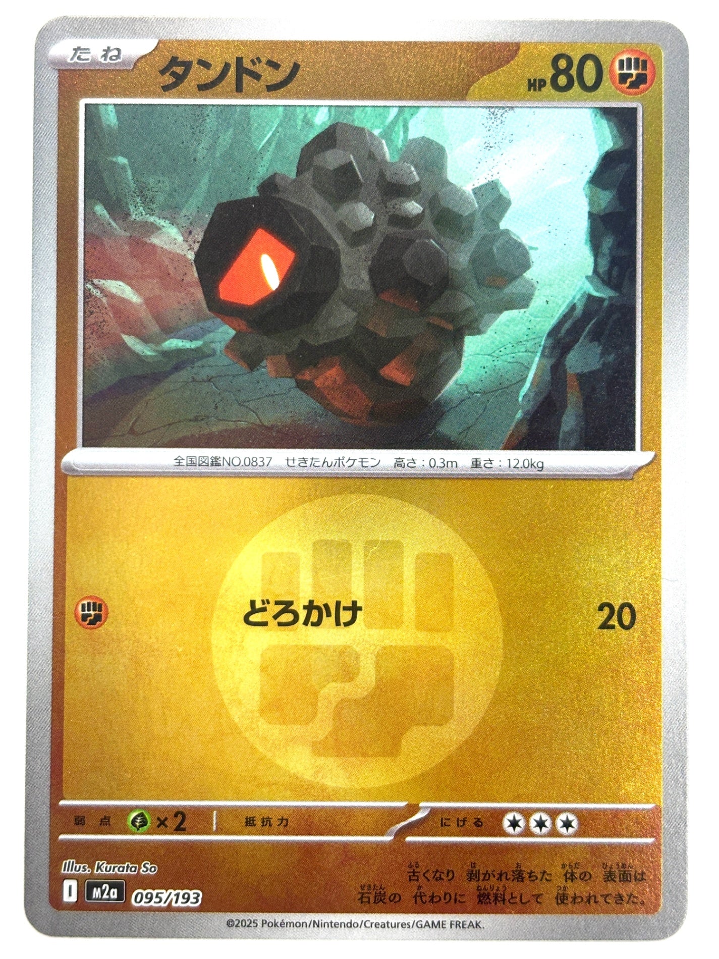 095/193 ミラー)タンドン(エネルギー柄)