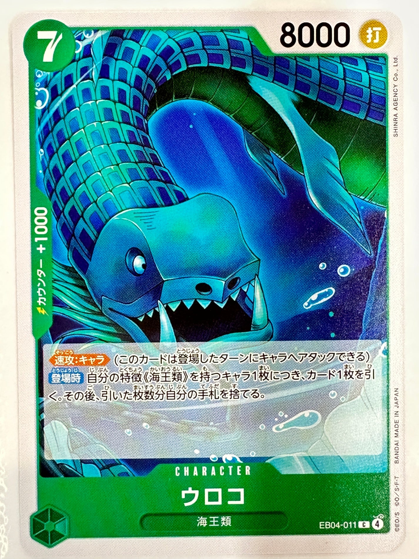 EB04-011 ウロコ